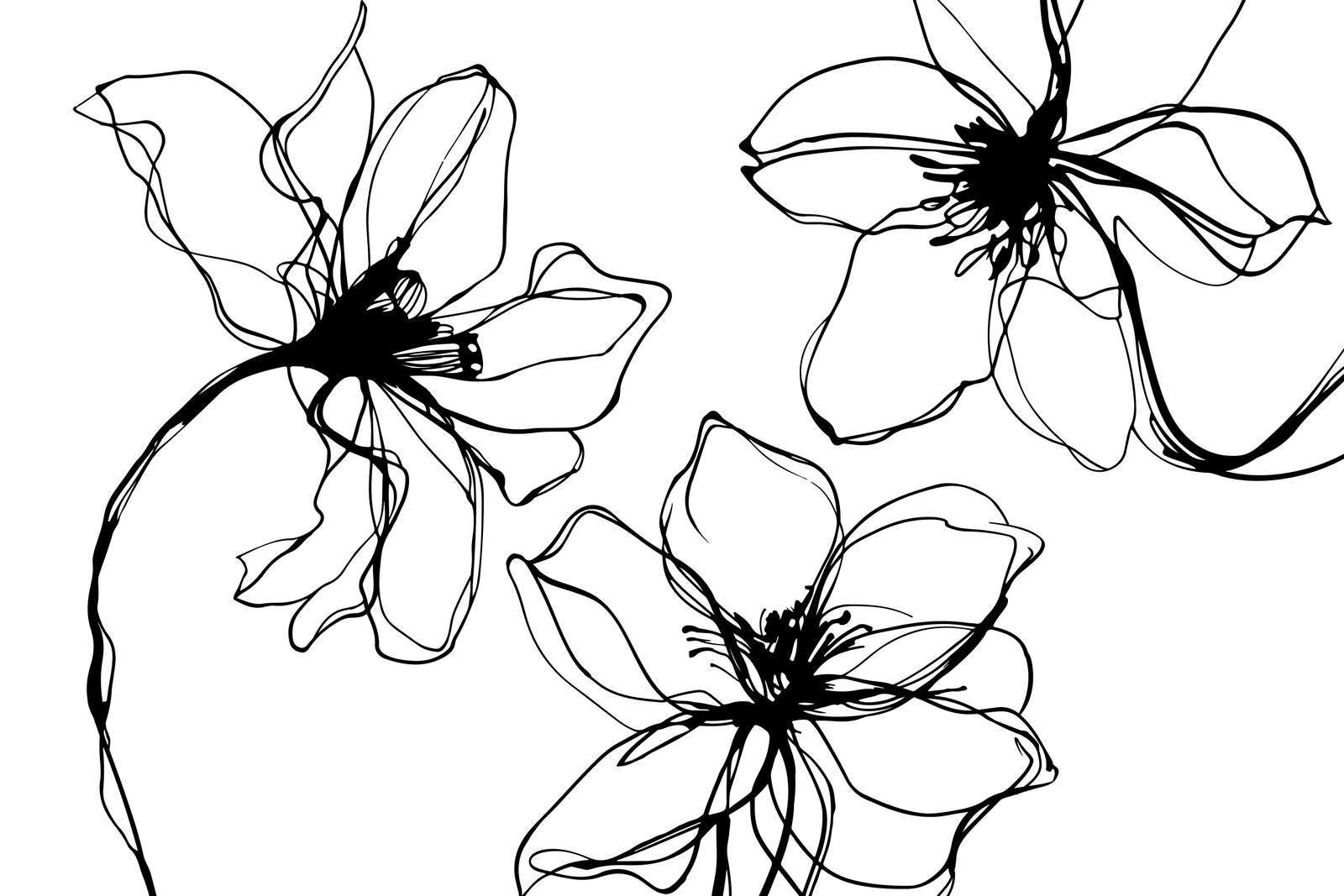 Minimalist flower study black and white