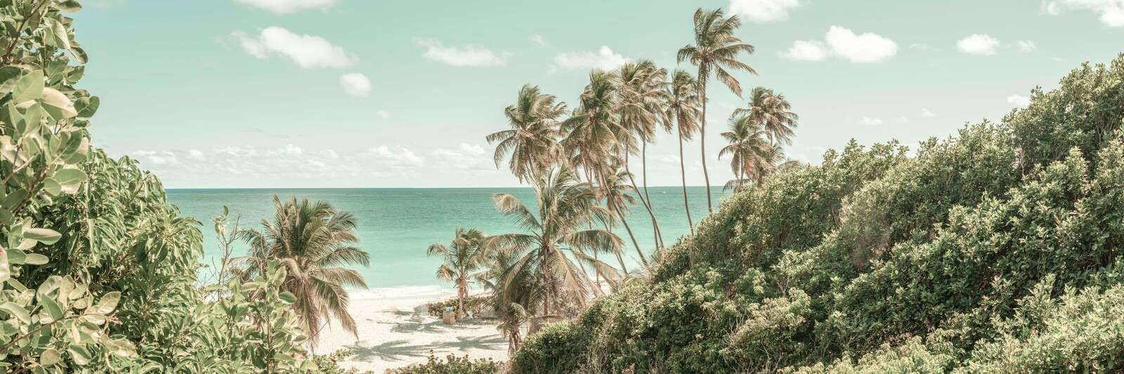 Tropisch strand met wuivende palmbomen