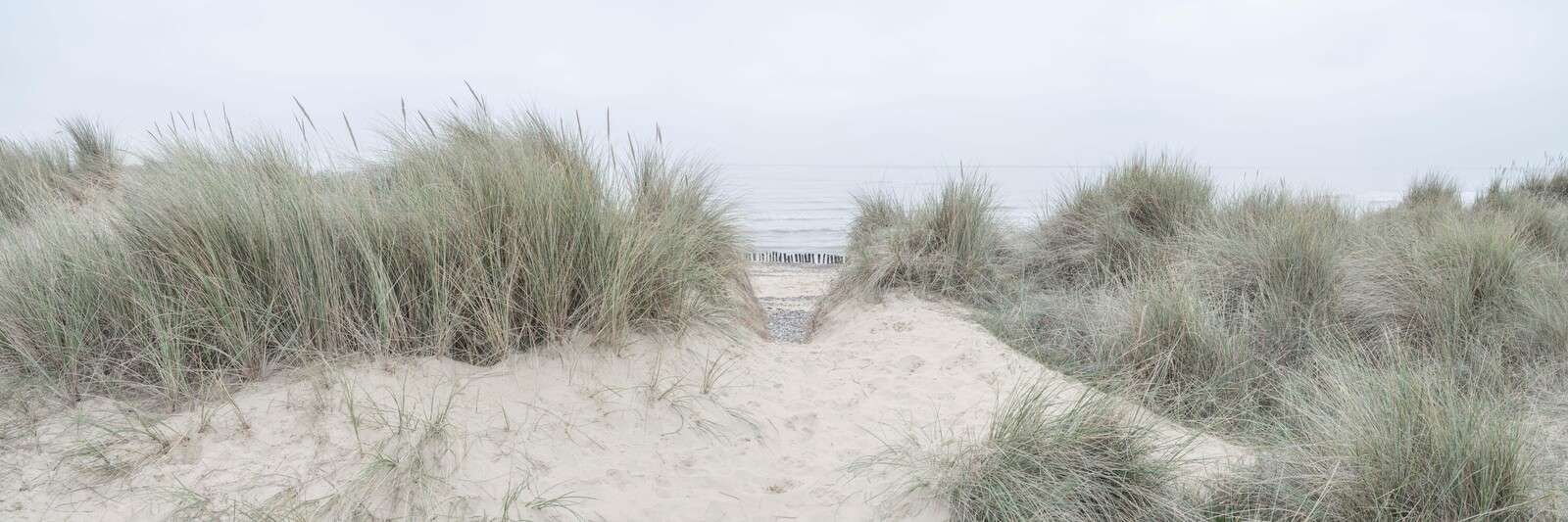 Mistige duinen aan stille kust