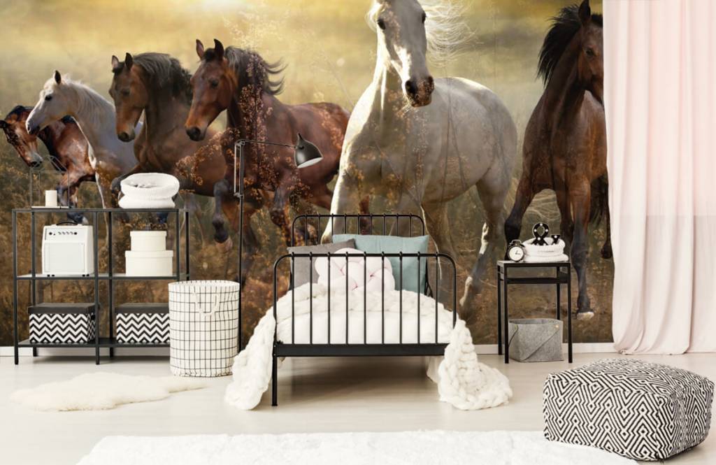 Paarden - Galopperende paarden bij zonsondergang - Kinderkamer 1