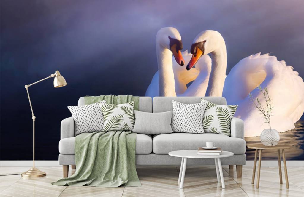 Vogel behang - Liefdespaar witte zwanen - Slaapkamer 8
