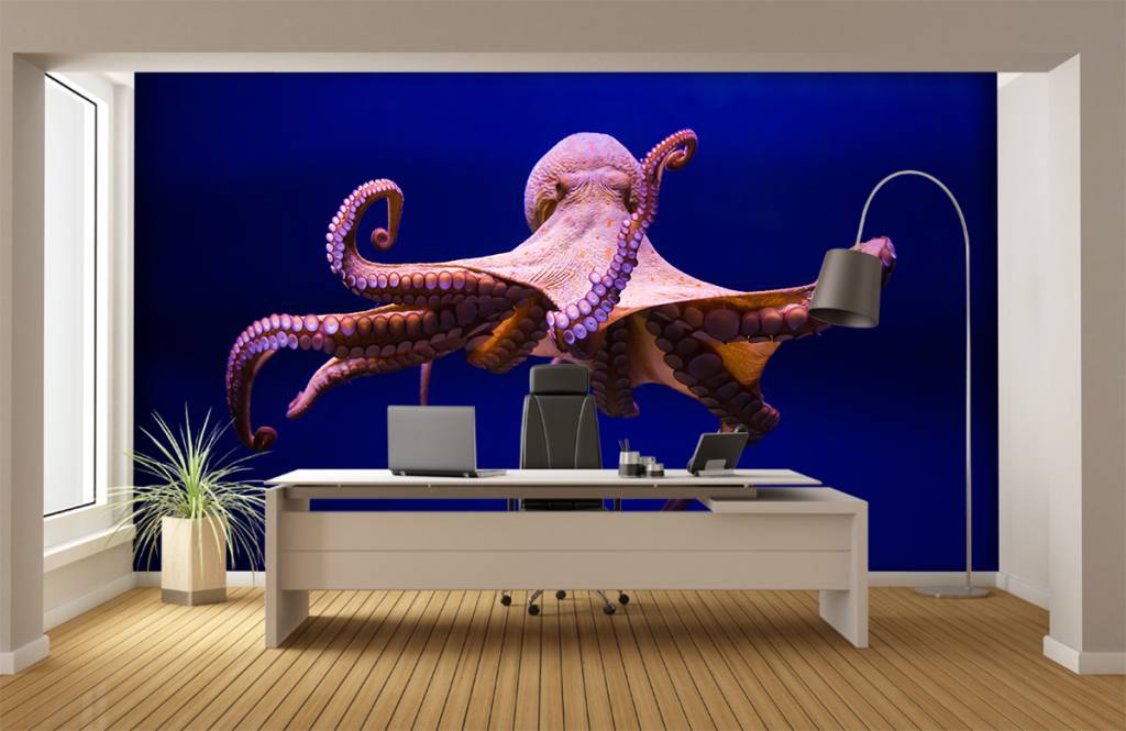Zeedieren - Octopus - Hal 5