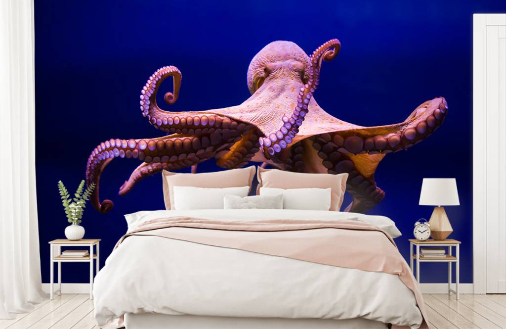 Zeedieren - Octopus - Hal 6