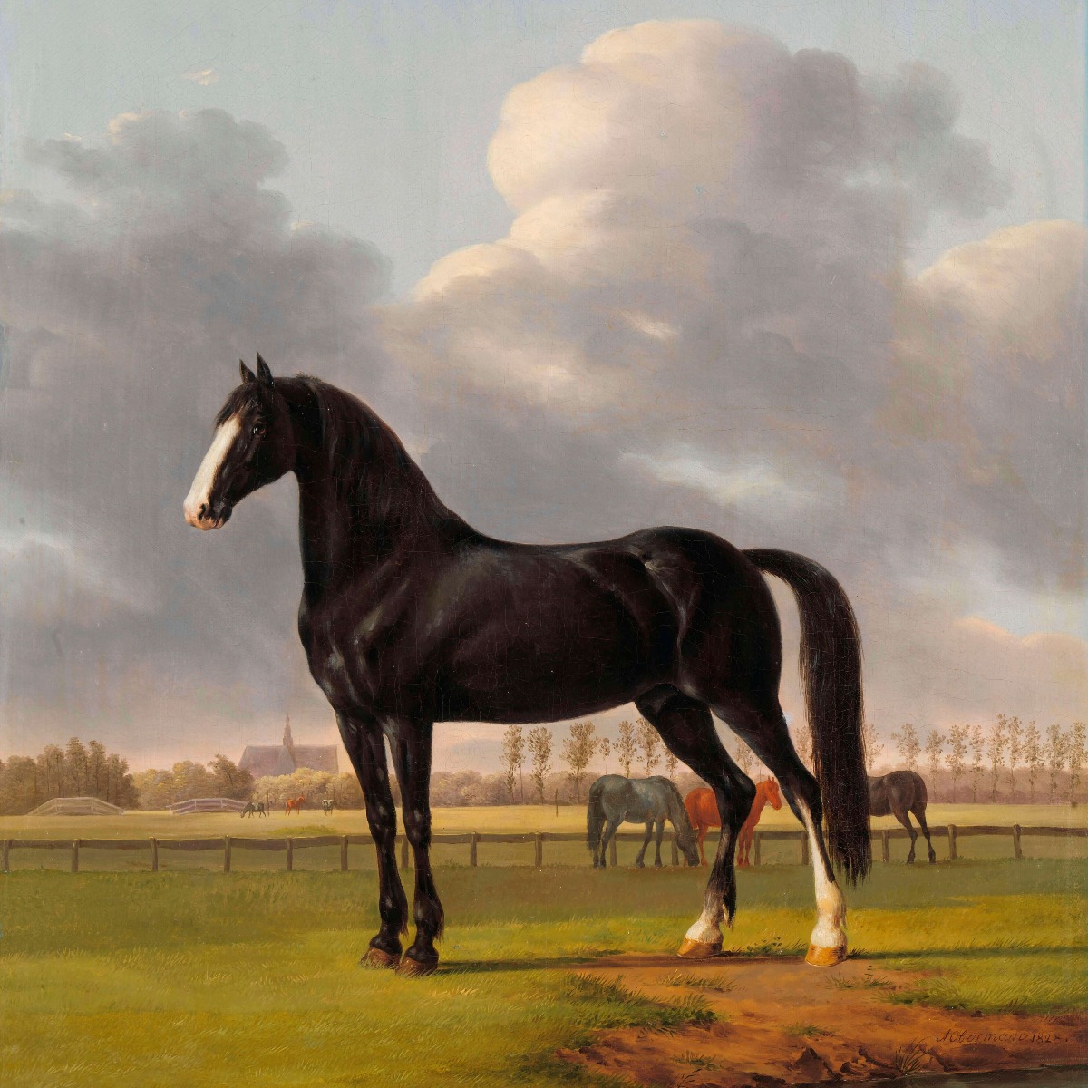 Kunst Fotobehang paard. De harddraver De Vlugge 16