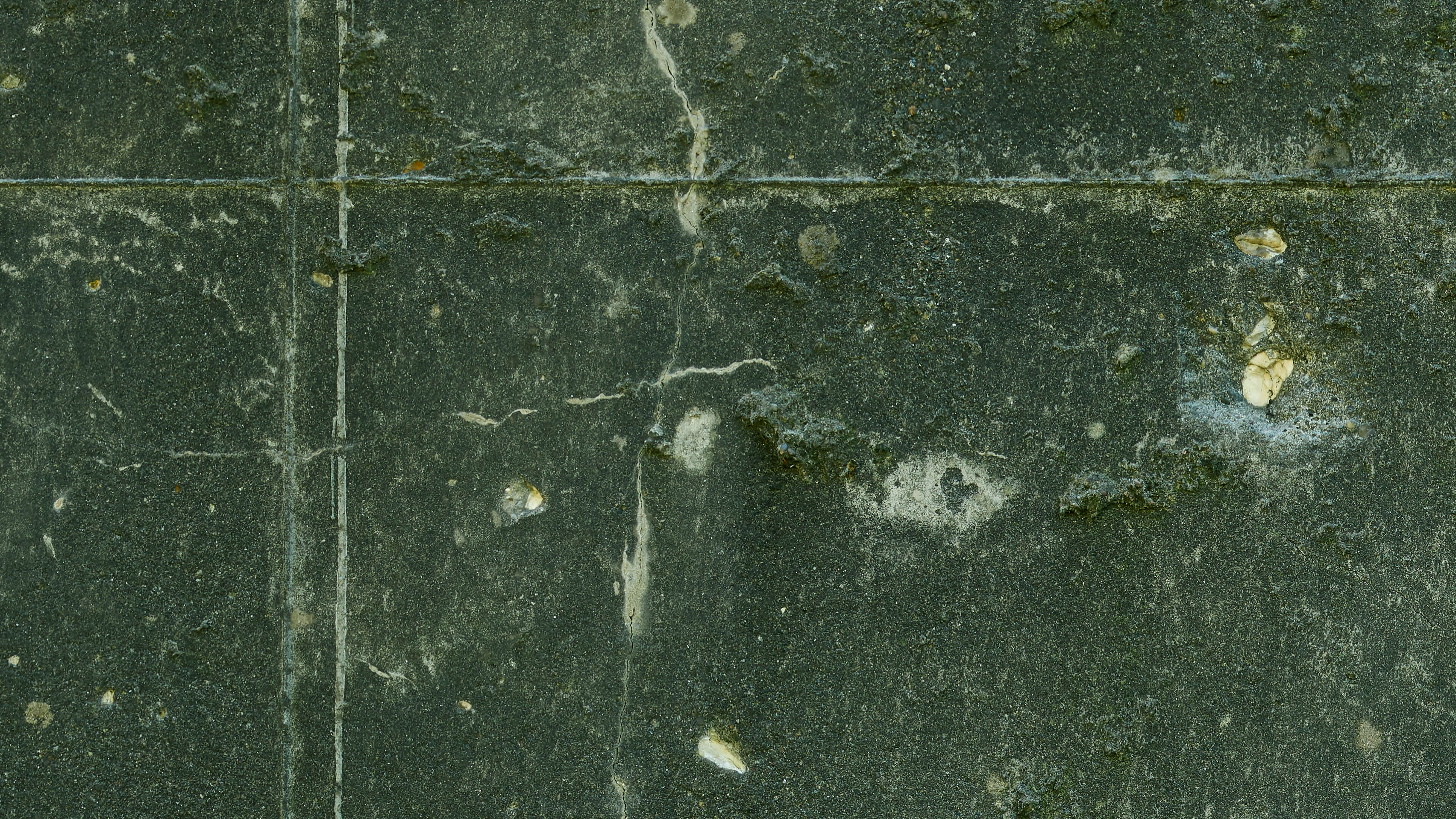 Detailed Image Detailed Image