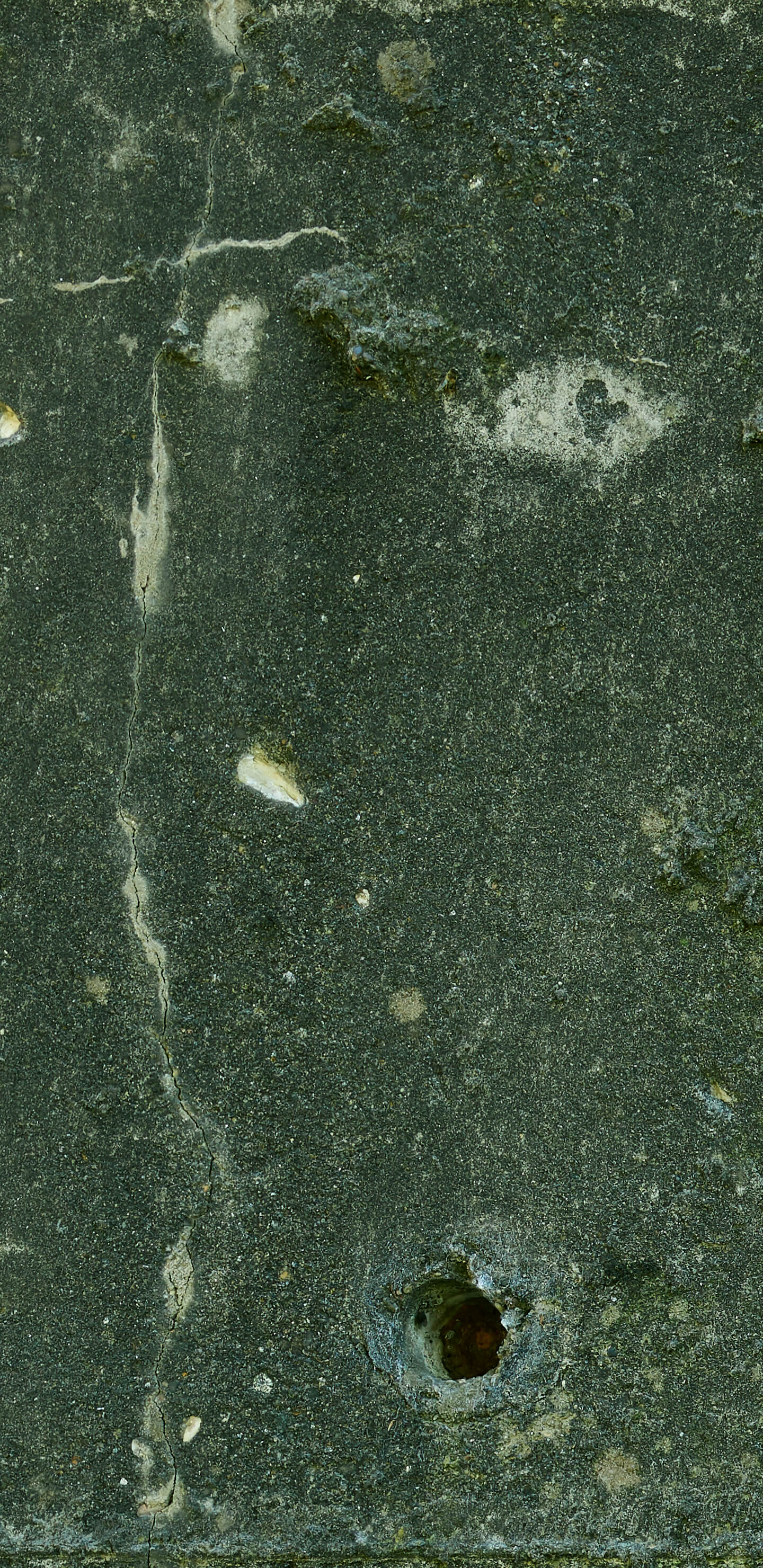Detailed Image 1 Detailed Image 1