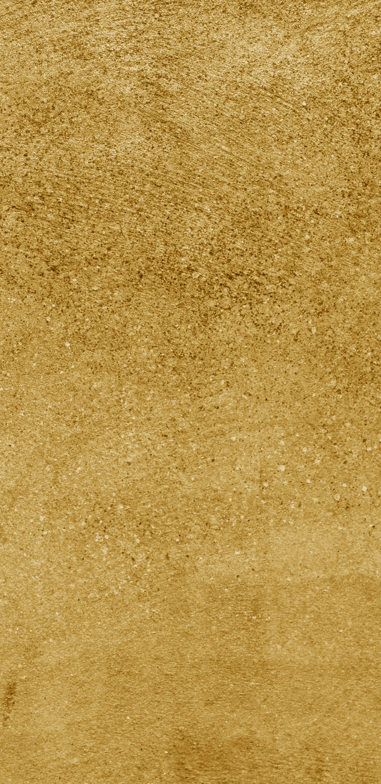 Detailed Image 2 Detailed Image 2