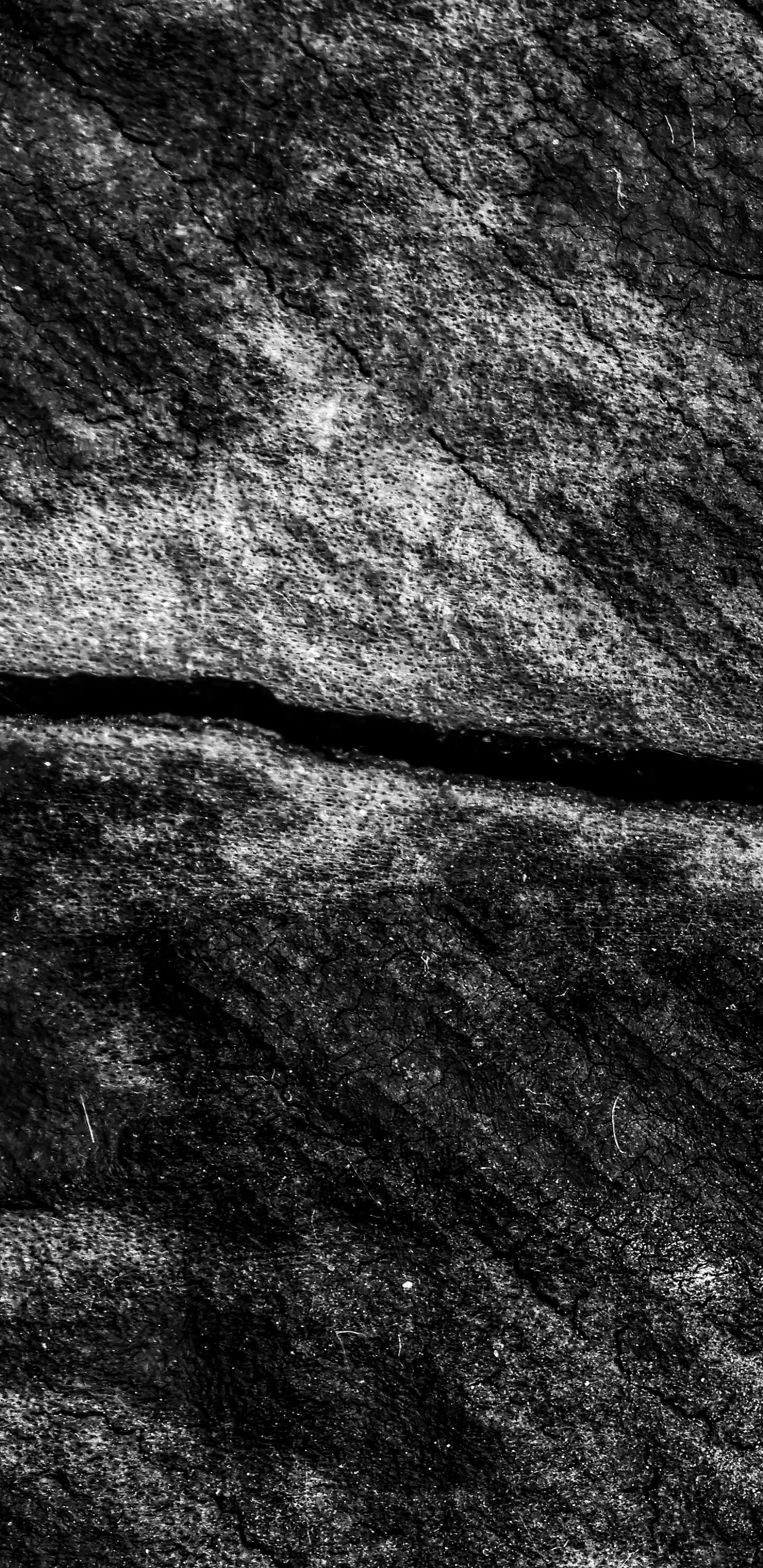 Detailed Image 1 Detailed Image 1