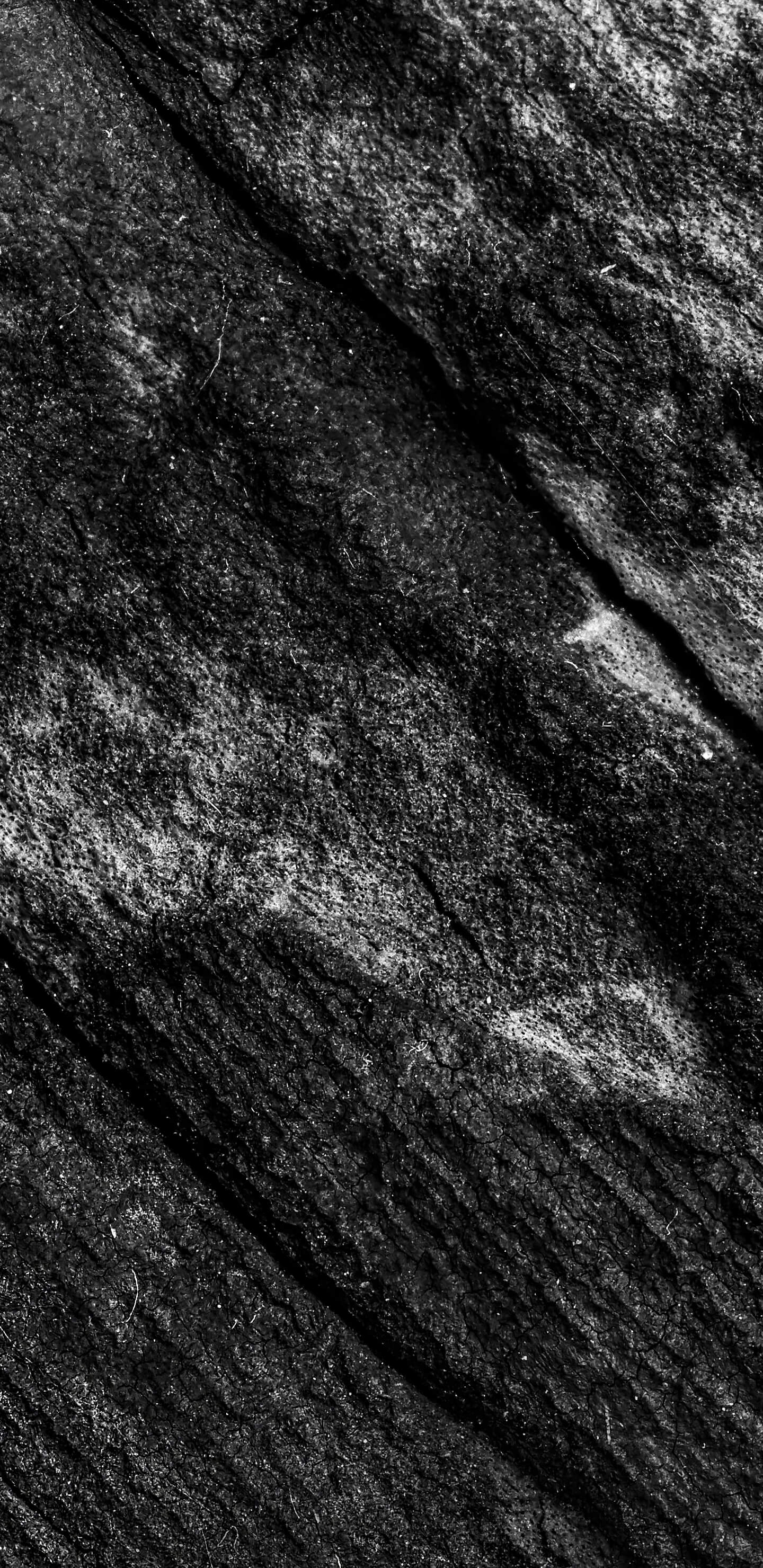 Detailed Image 2 Detailed Image 2