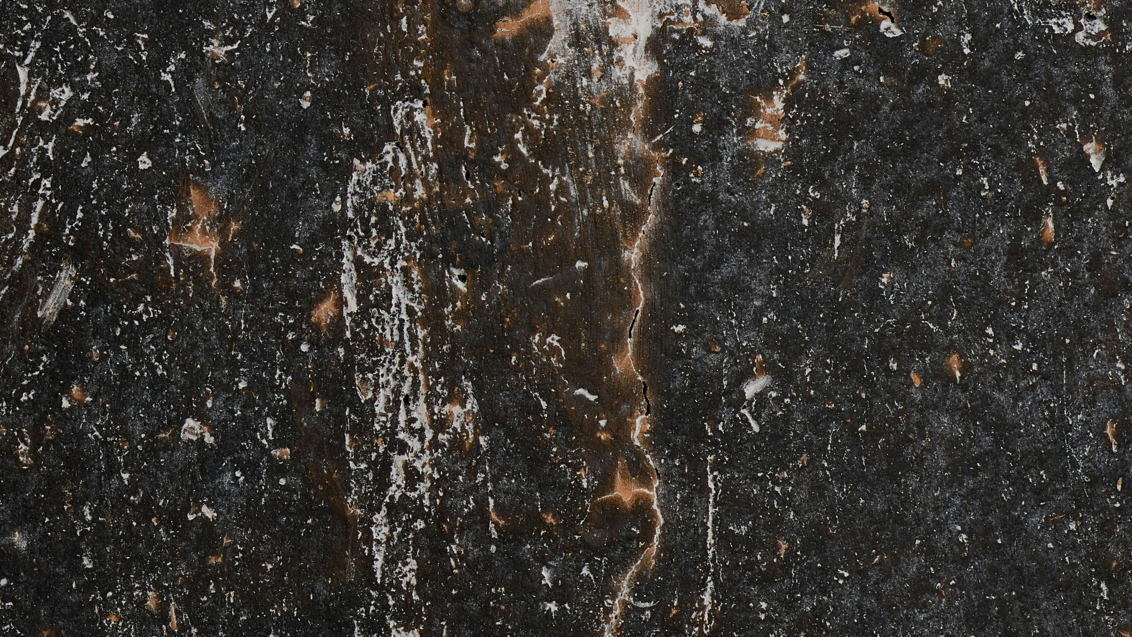 Detailed Image 2 Detailed Image 2