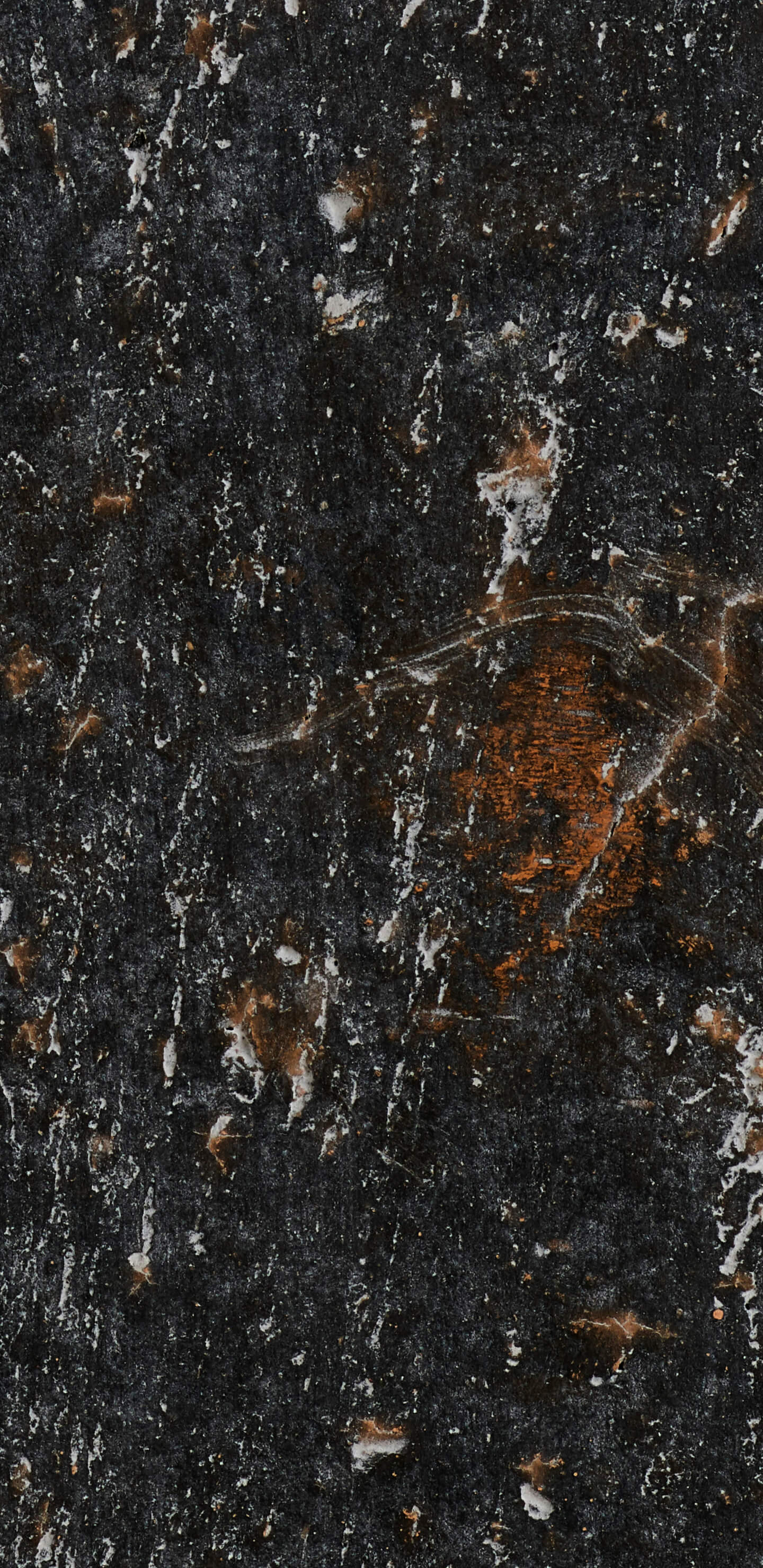Detailed Image 1 Detailed Image 1