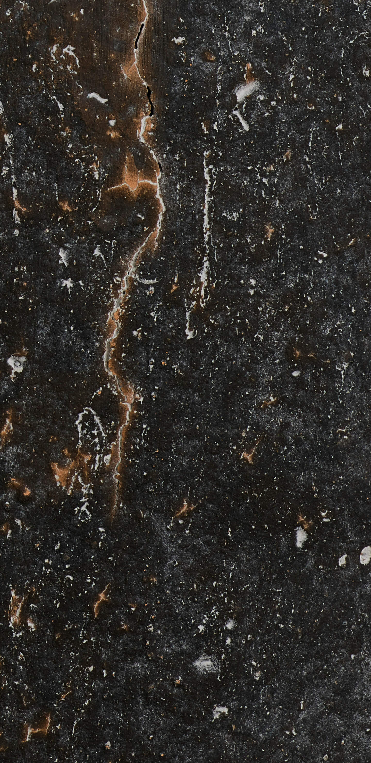 Detailed Image 2 Detailed Image 2