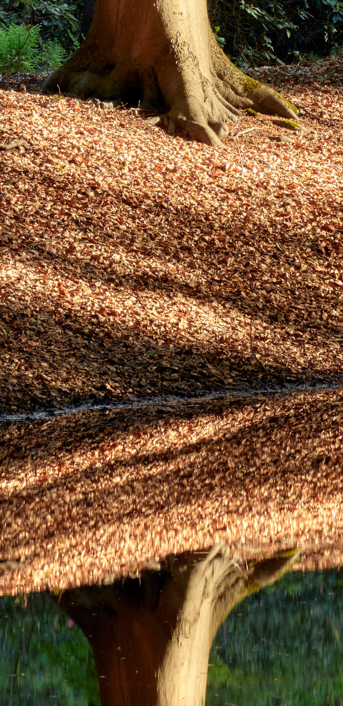 Detailed Image 2 Detailed Image 2