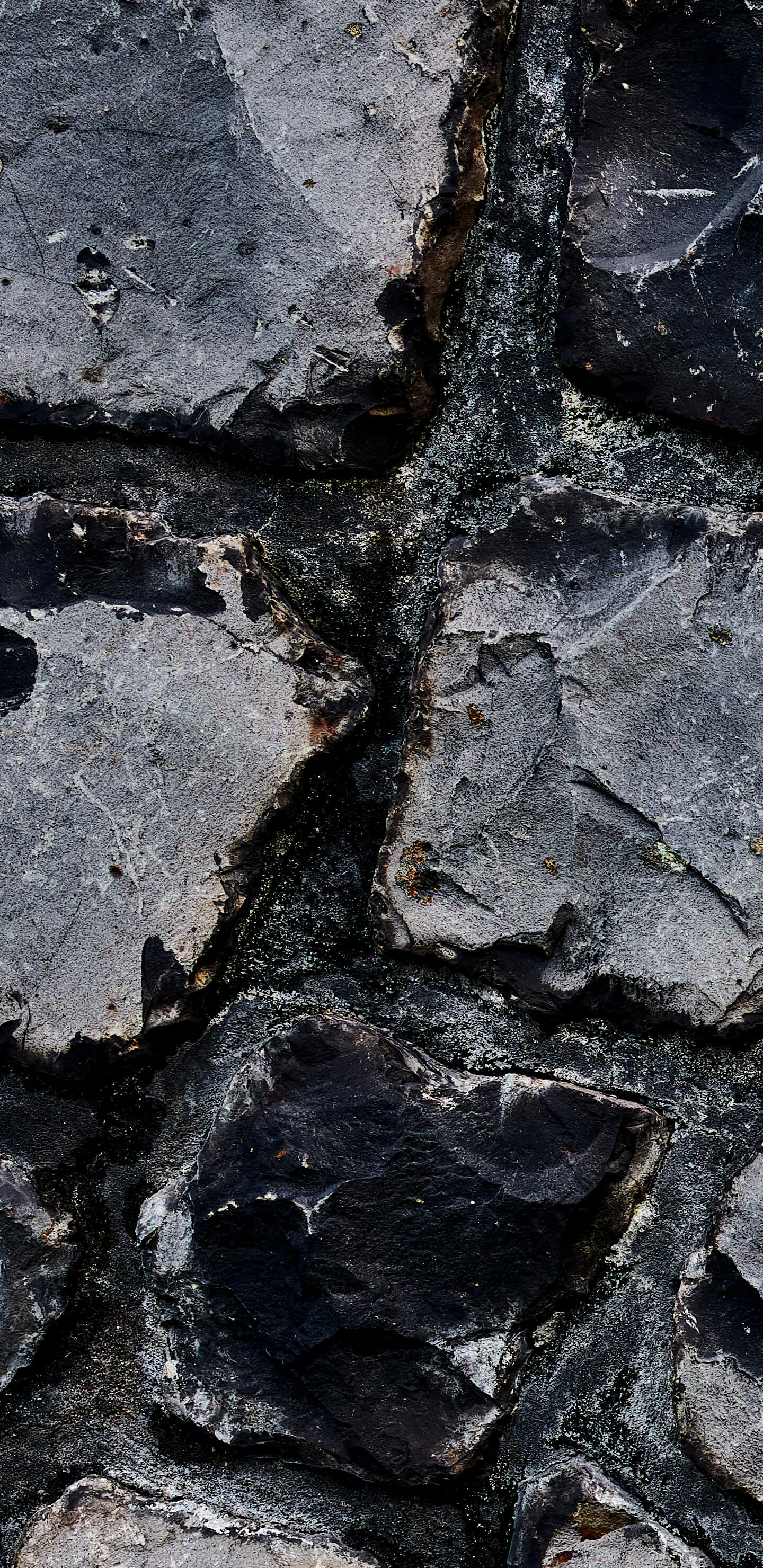 Detailed Image 1 Detailed Image 1
