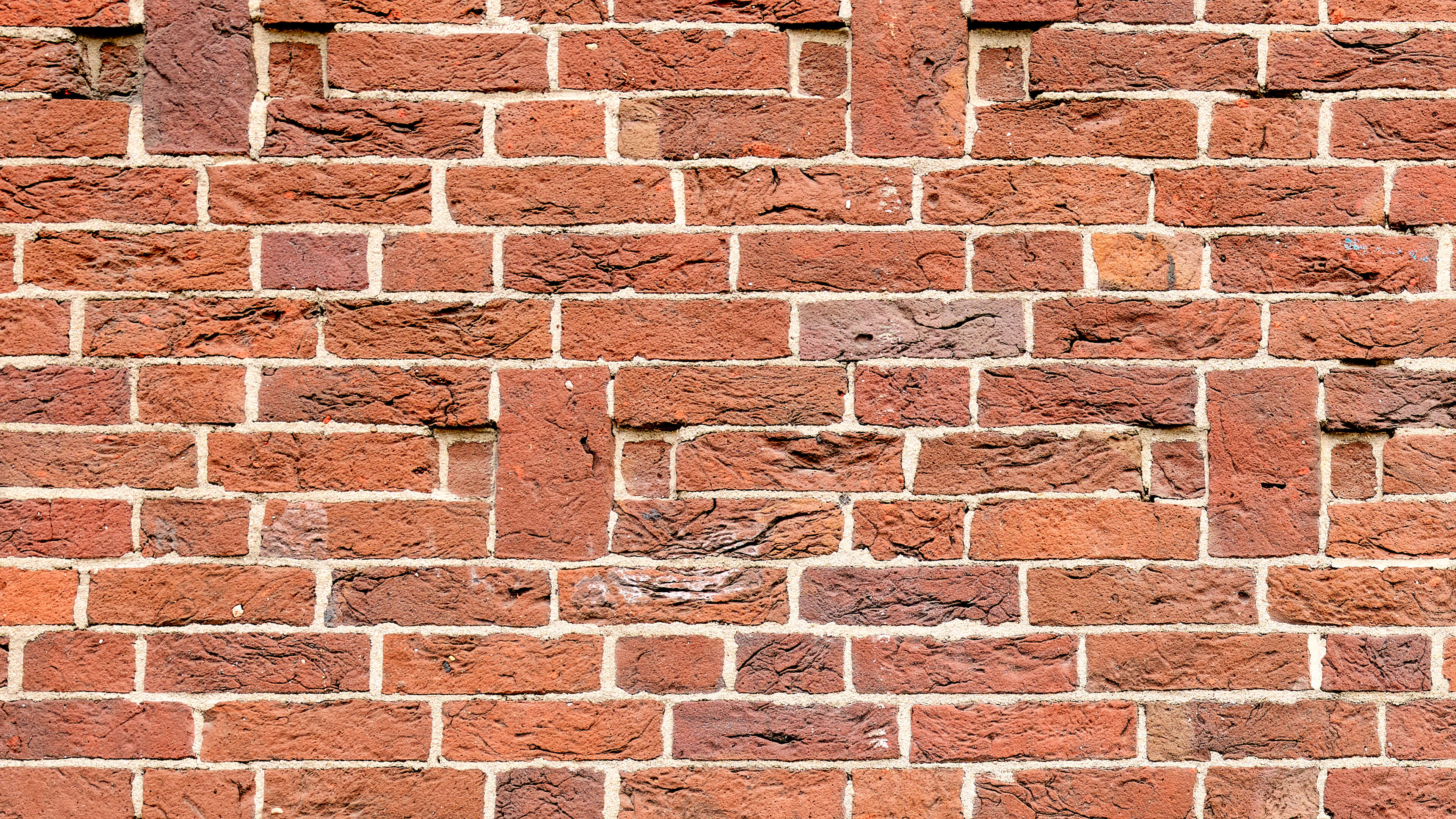 Detailed Image Detailed Image