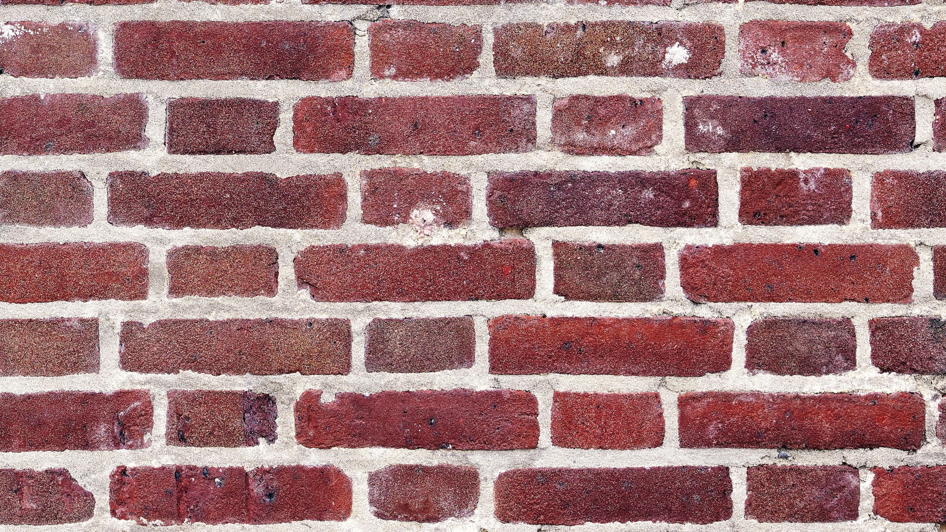 Detailed Image Detailed Image