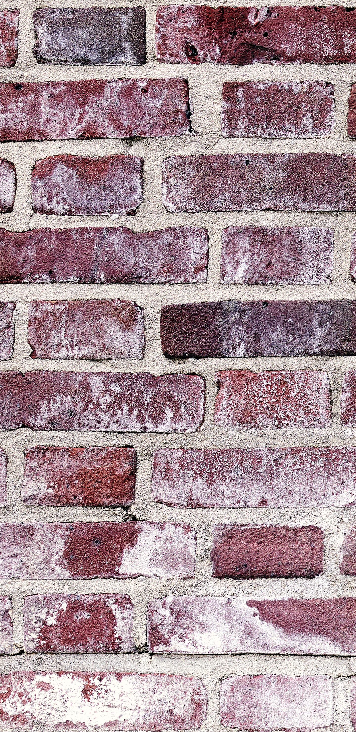 Detailed Image 1 Detailed Image 1