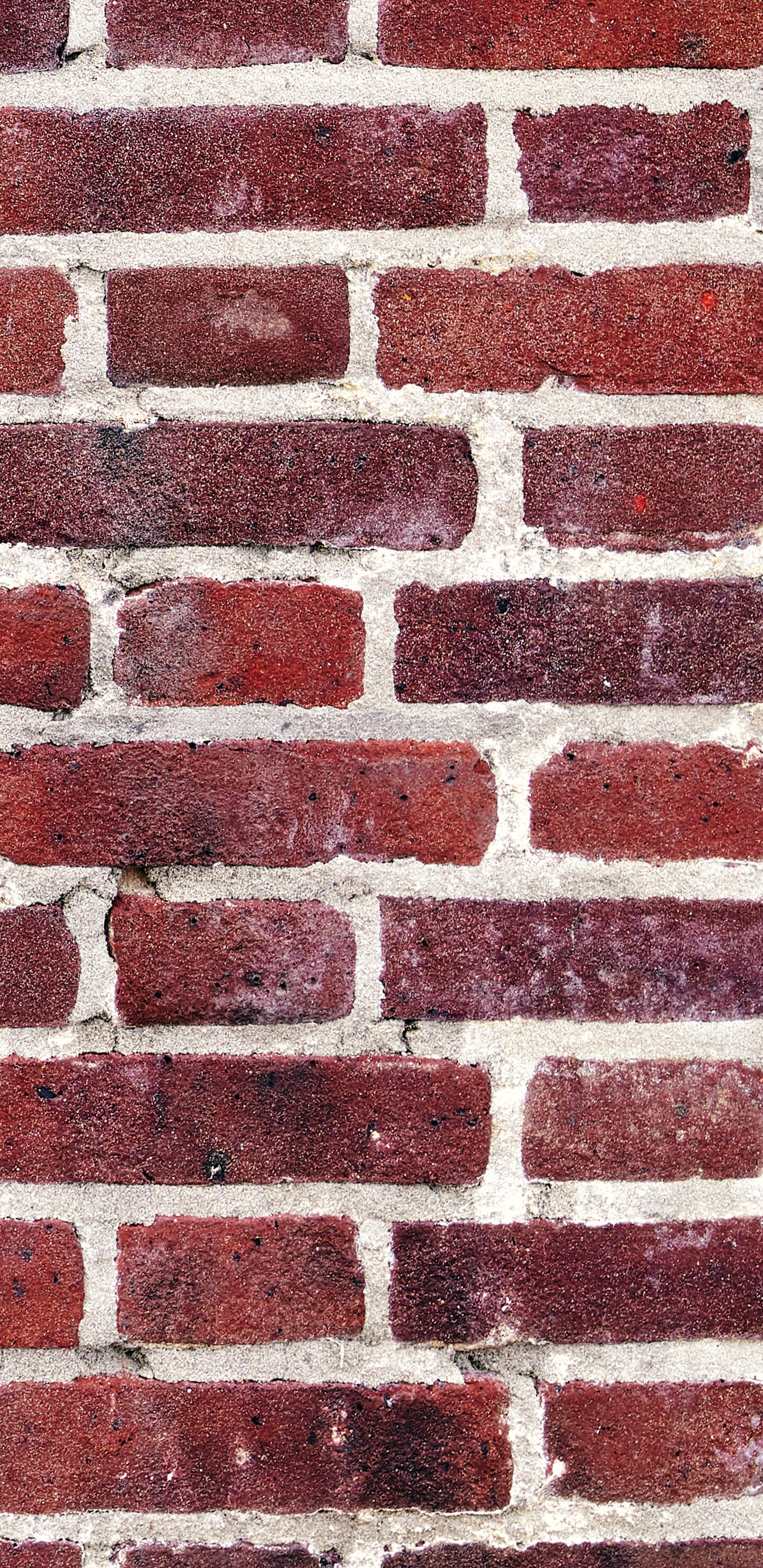 Detailed Image 2 Detailed Image 2