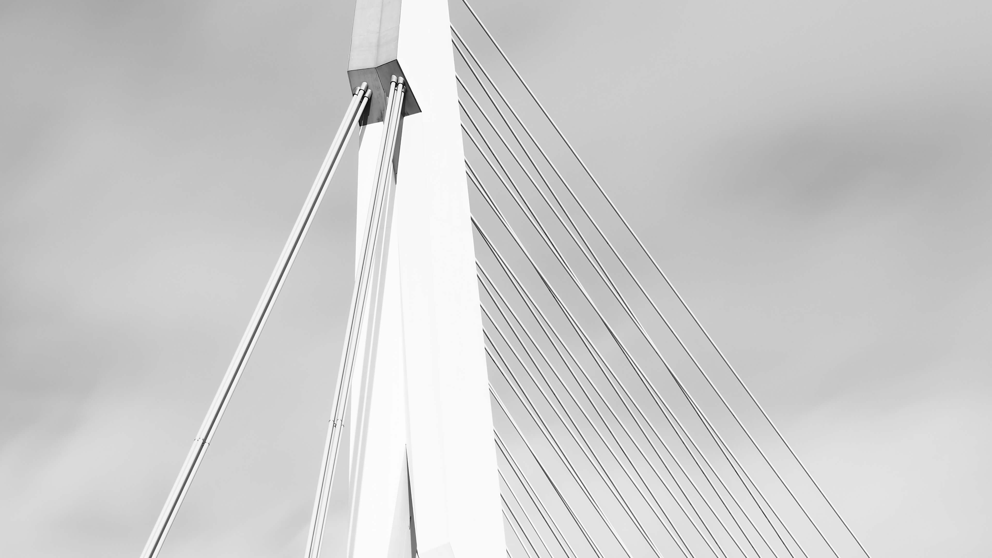 Detailed Image Detailed Image
