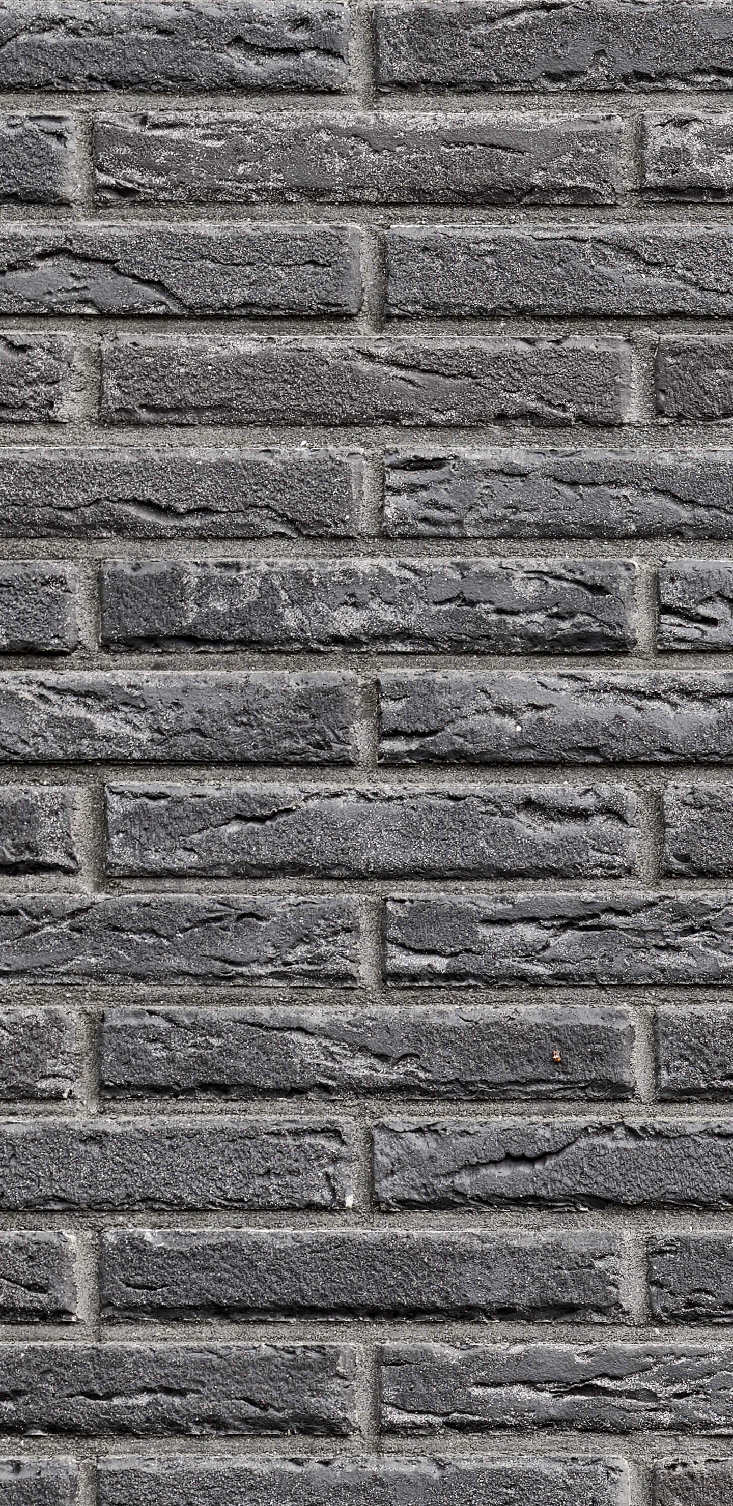 Detailed Image 1 Detailed Image 1