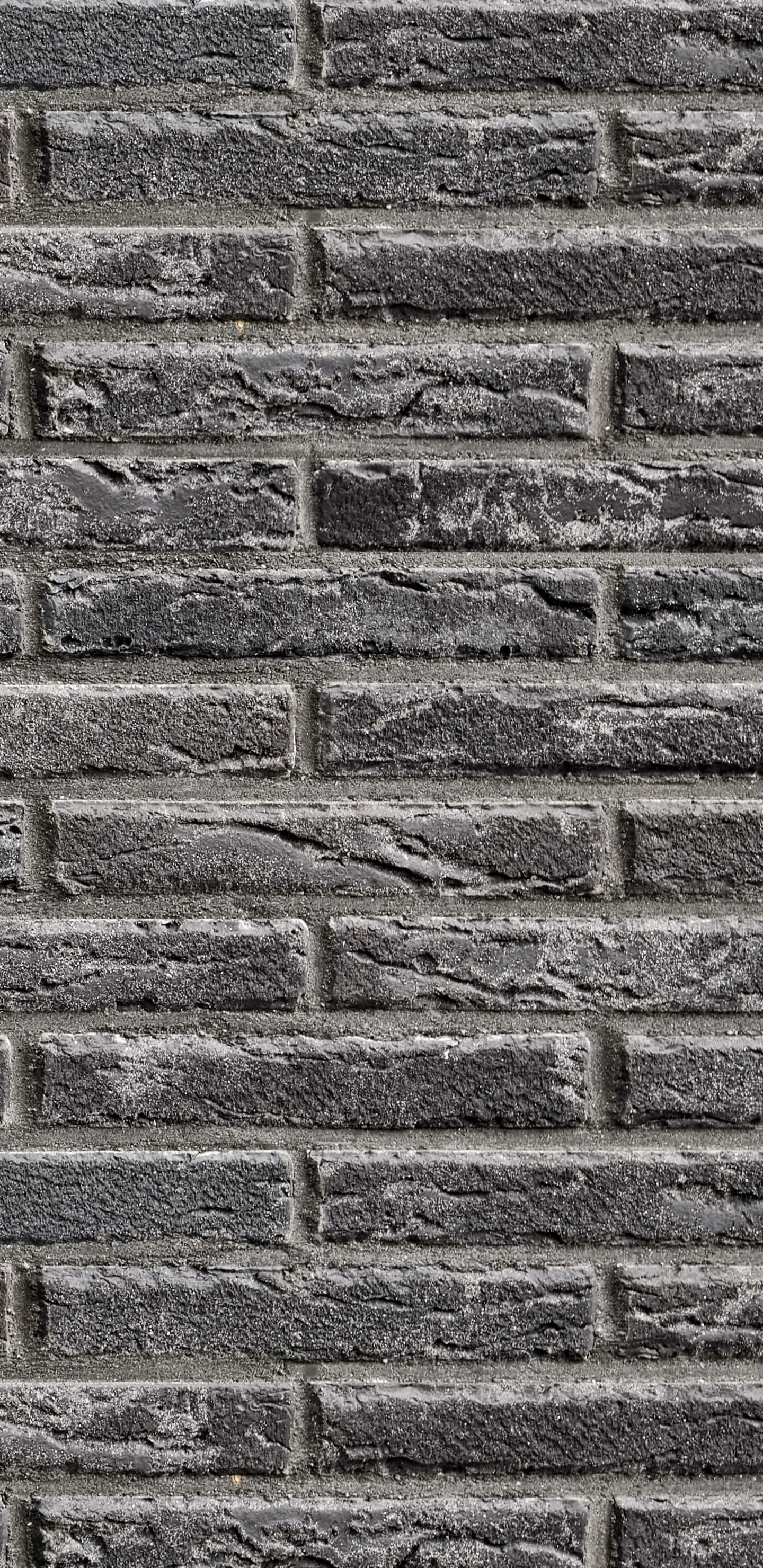 Detailed Image 2 Detailed Image 2
