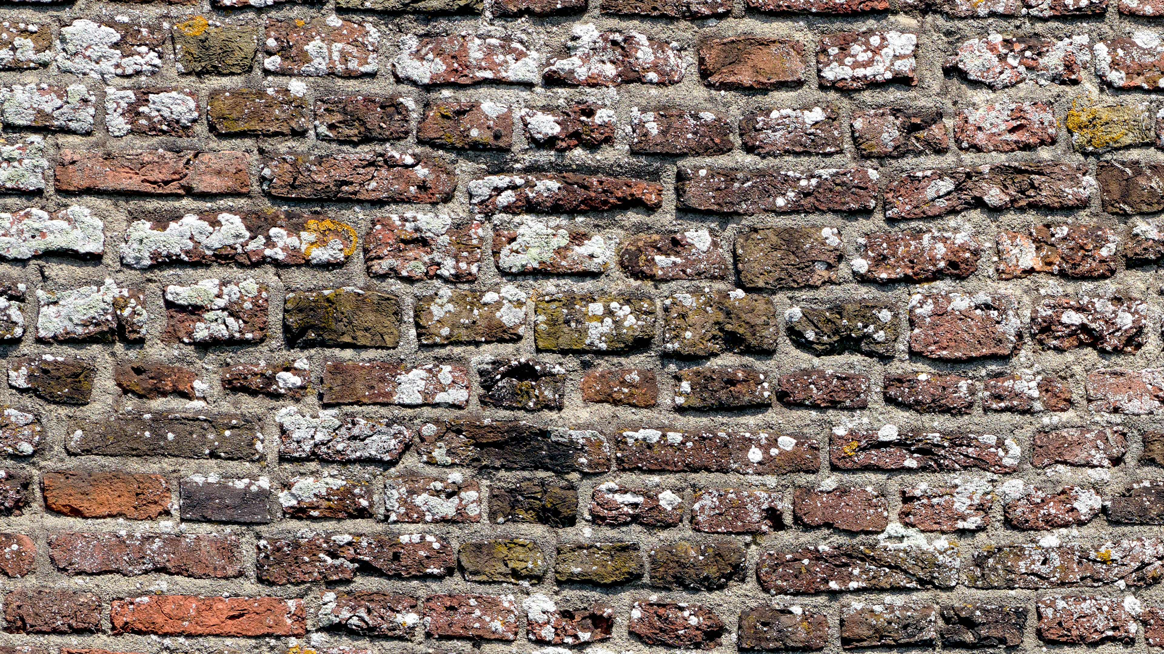 Detailed Image Detailed Image