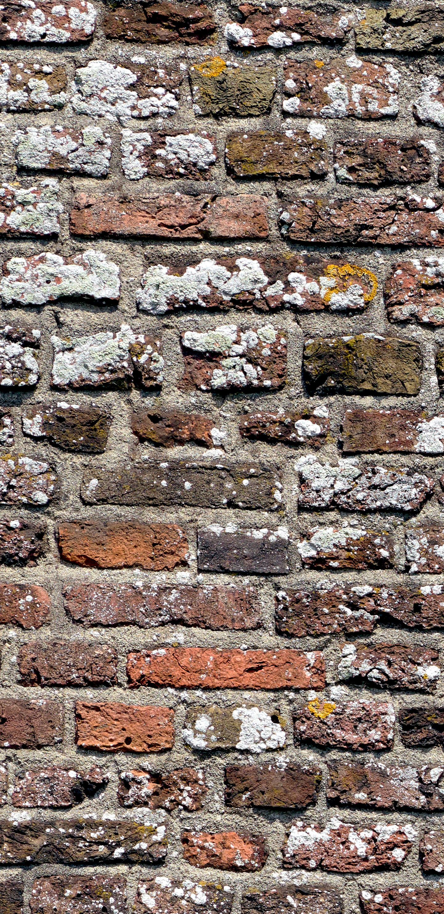 Detailed Image 1 Detailed Image 1