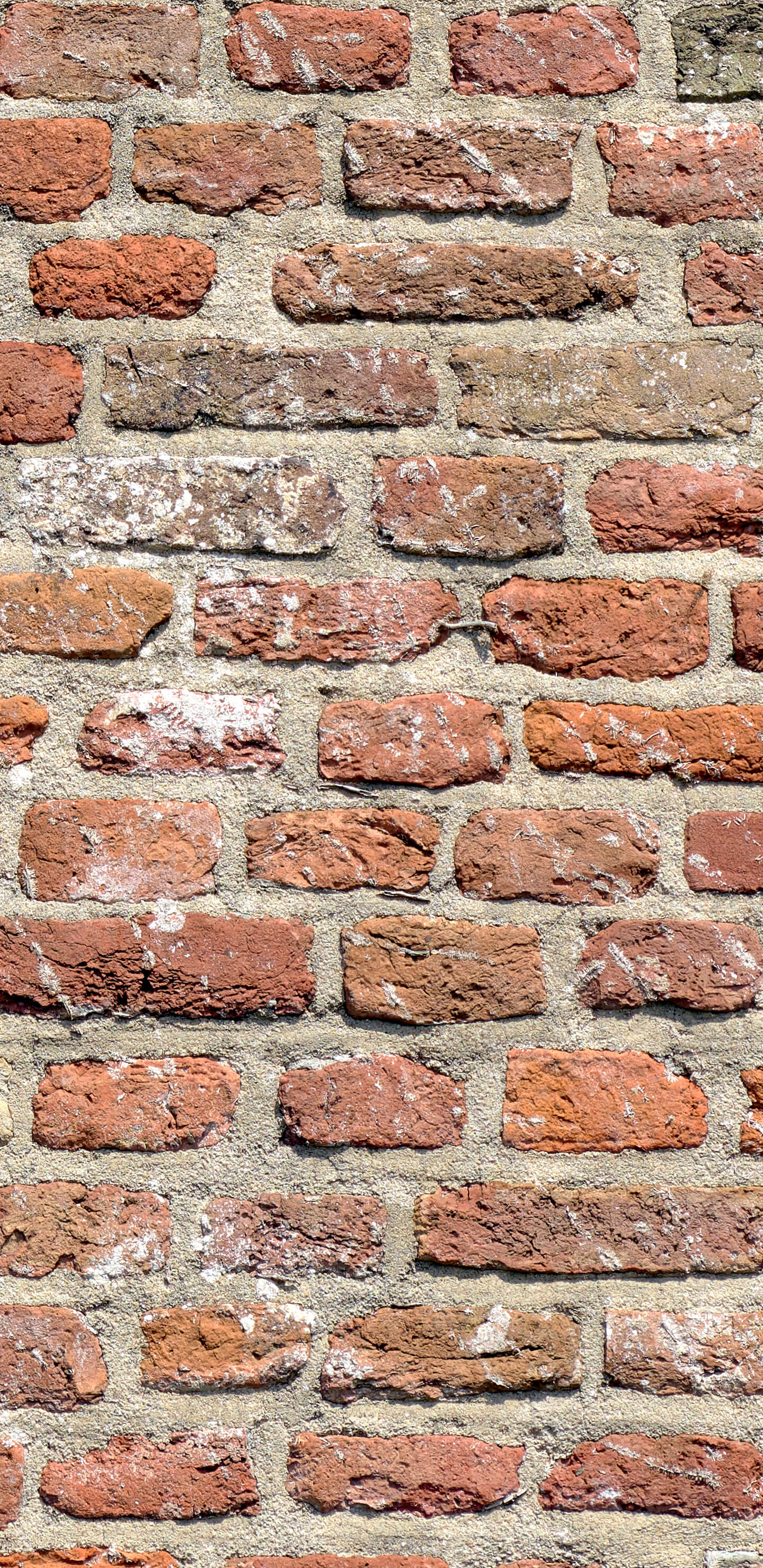 Detailed Image 2 Detailed Image 2