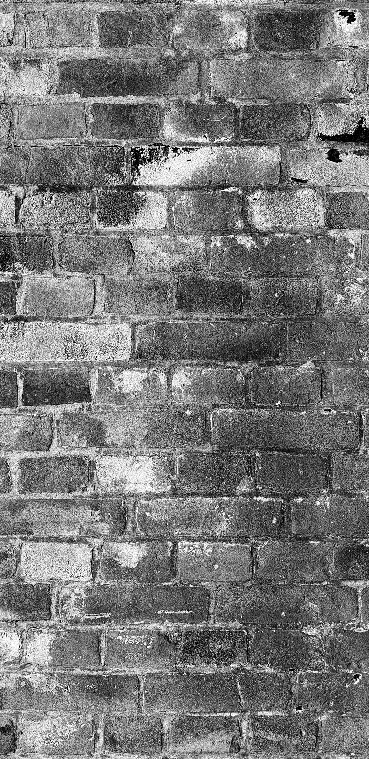 Detailed Image 2 Detailed Image 2