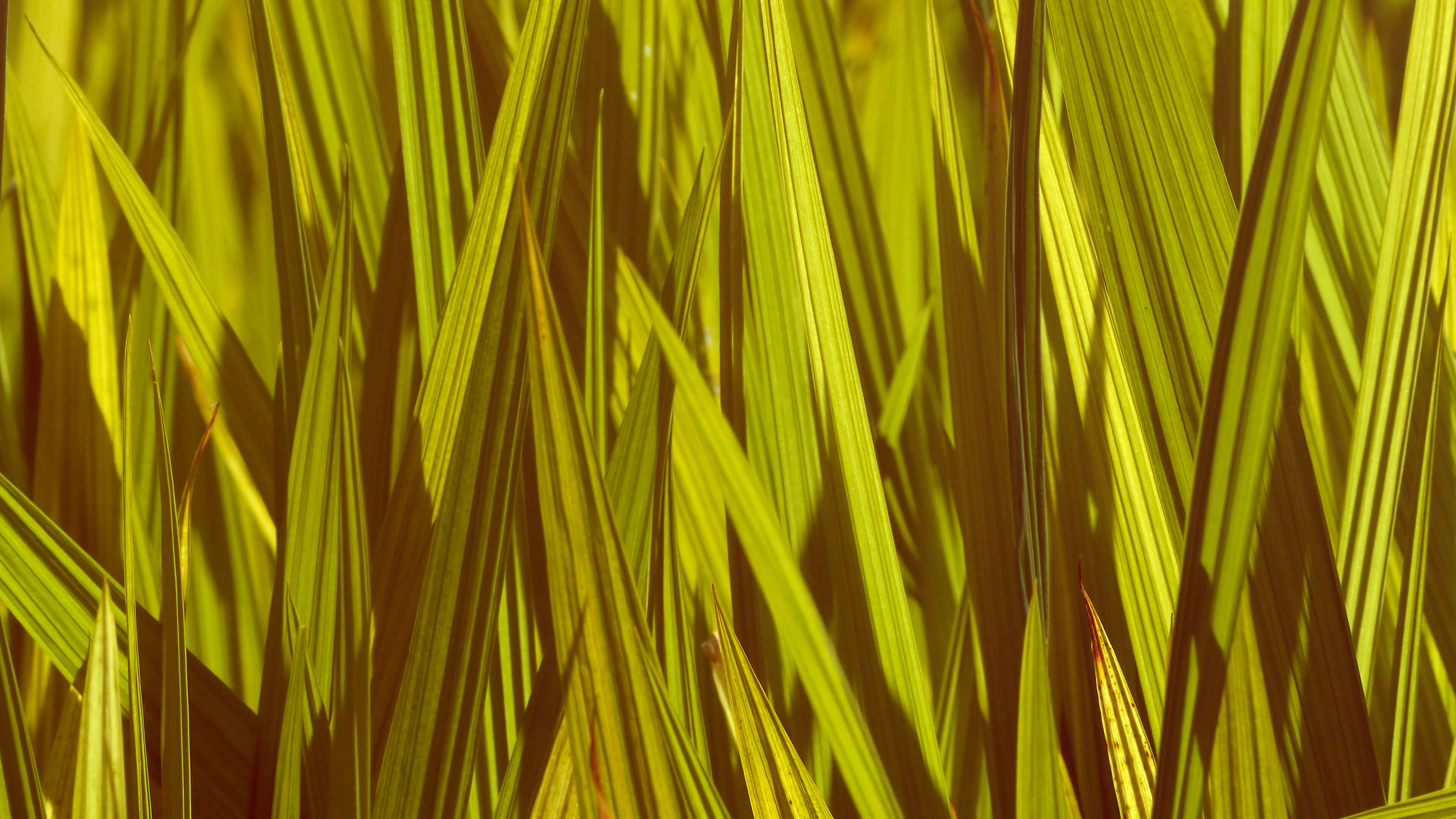 Detailed Image 2 Detailed Image 2