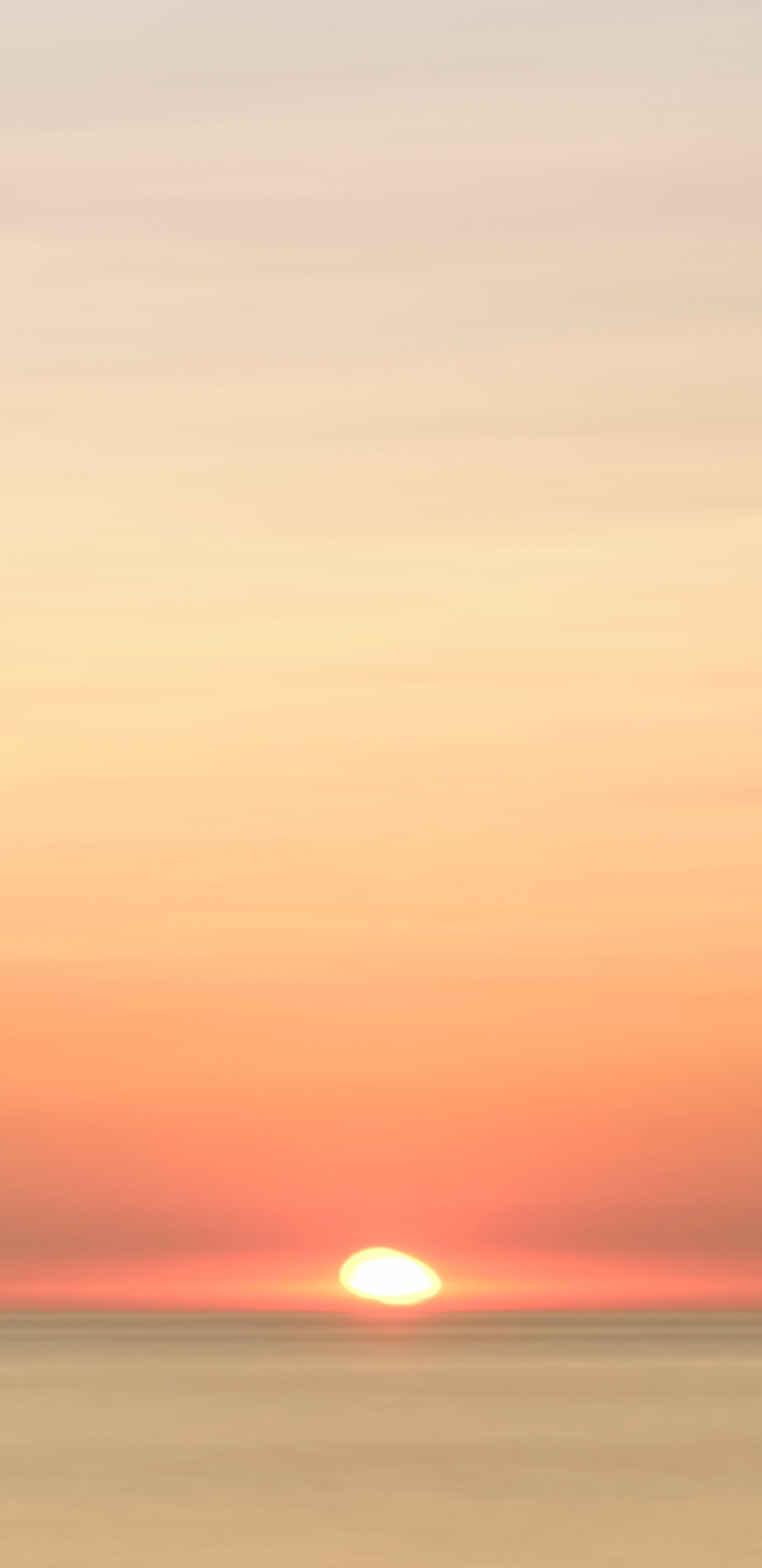 Detailed Image 1 Detailed Image 1