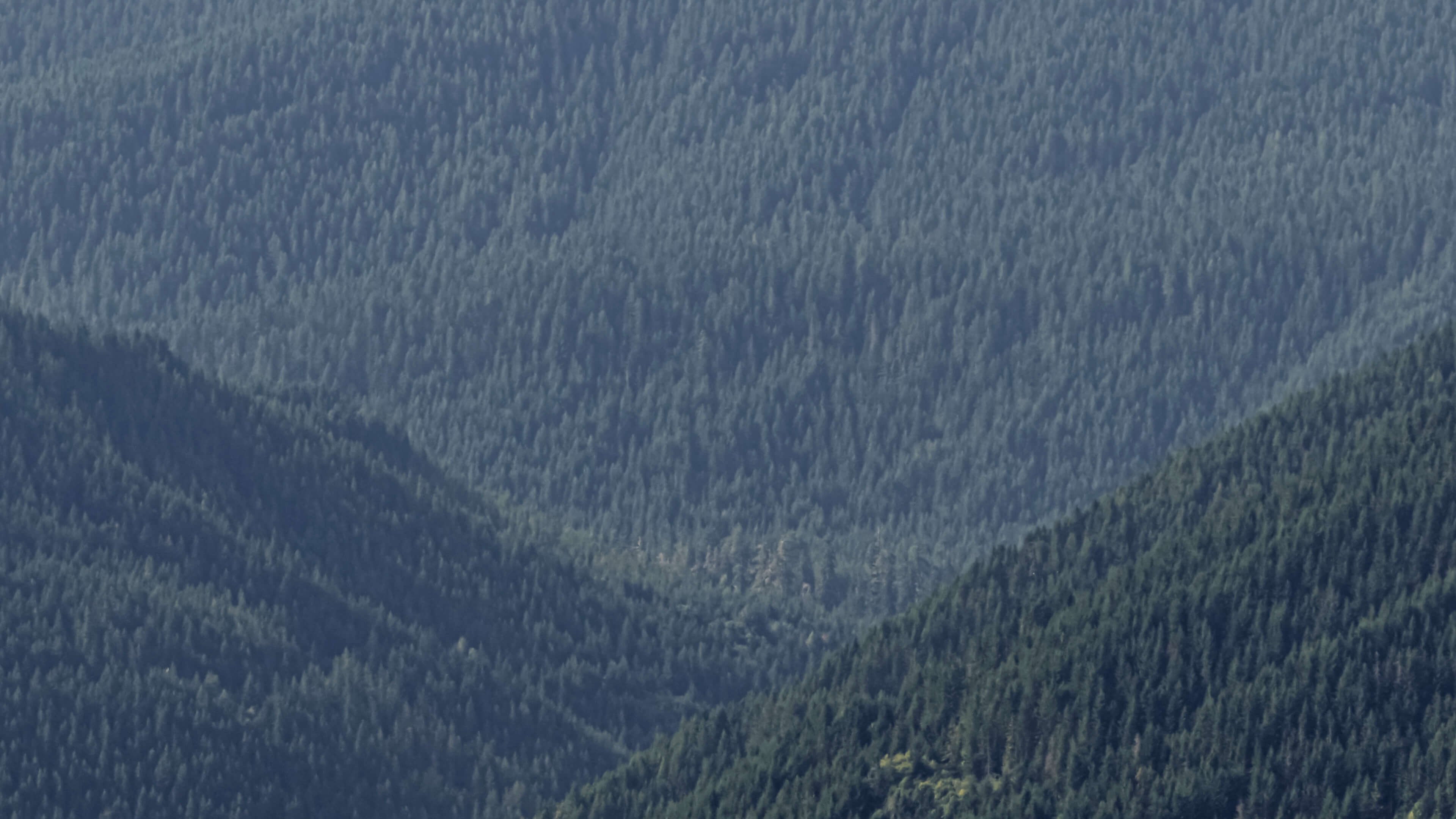 Detailed Image Detailed Image