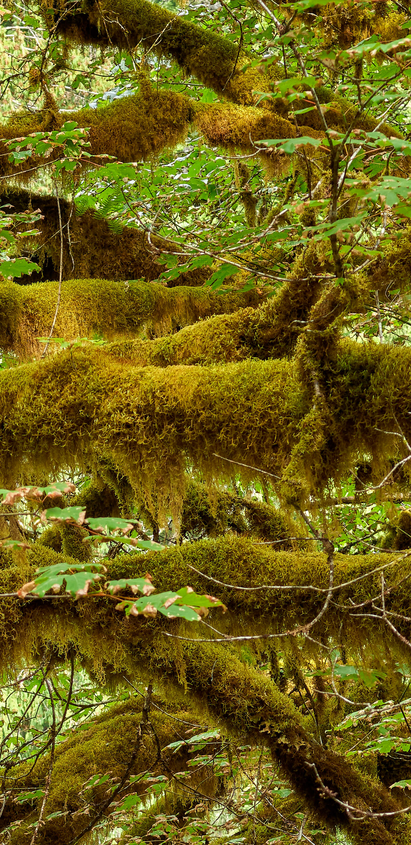 Detailed Image 2 Detailed Image 2