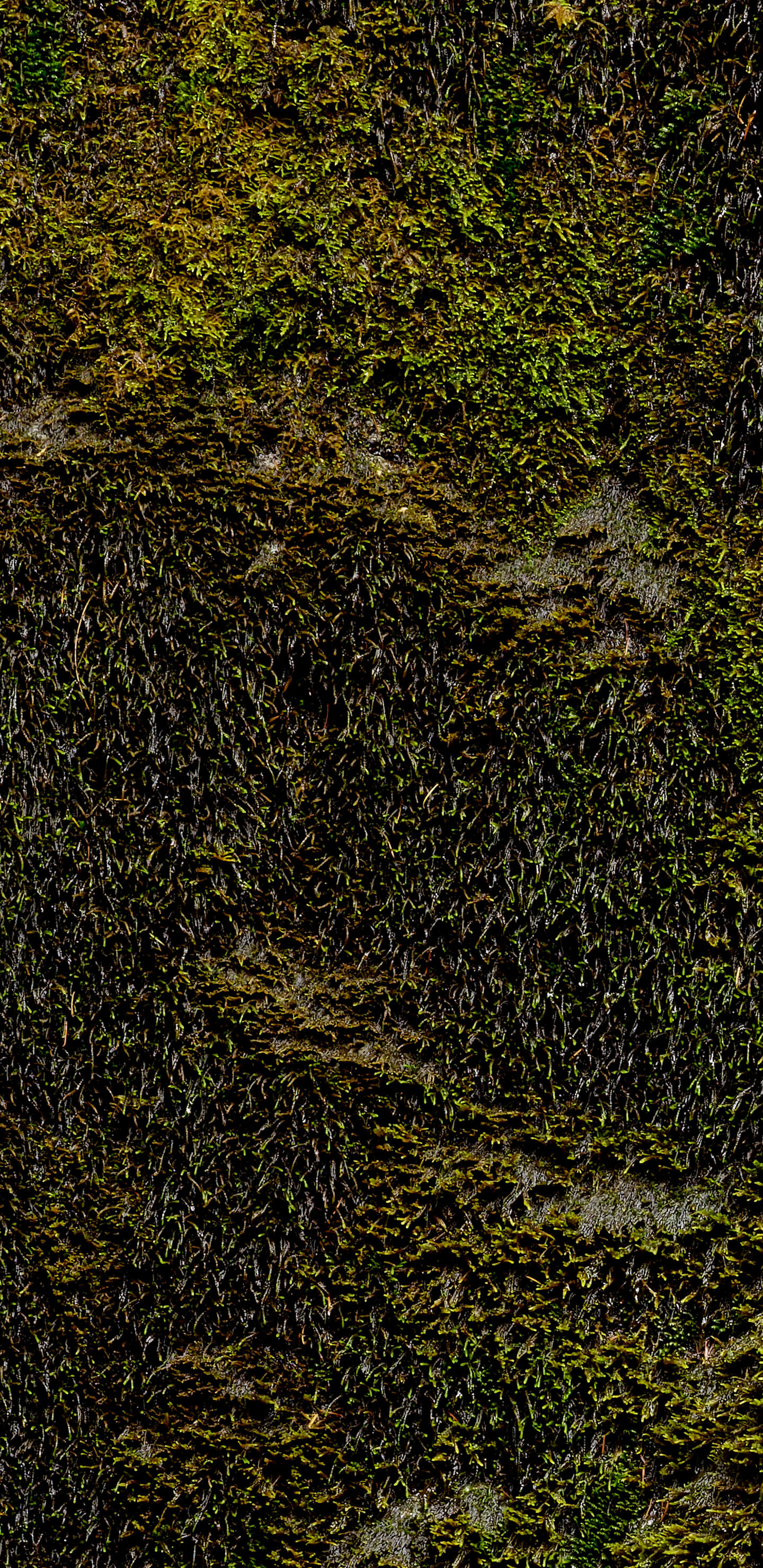 Detailed Image 1 Detailed Image 1