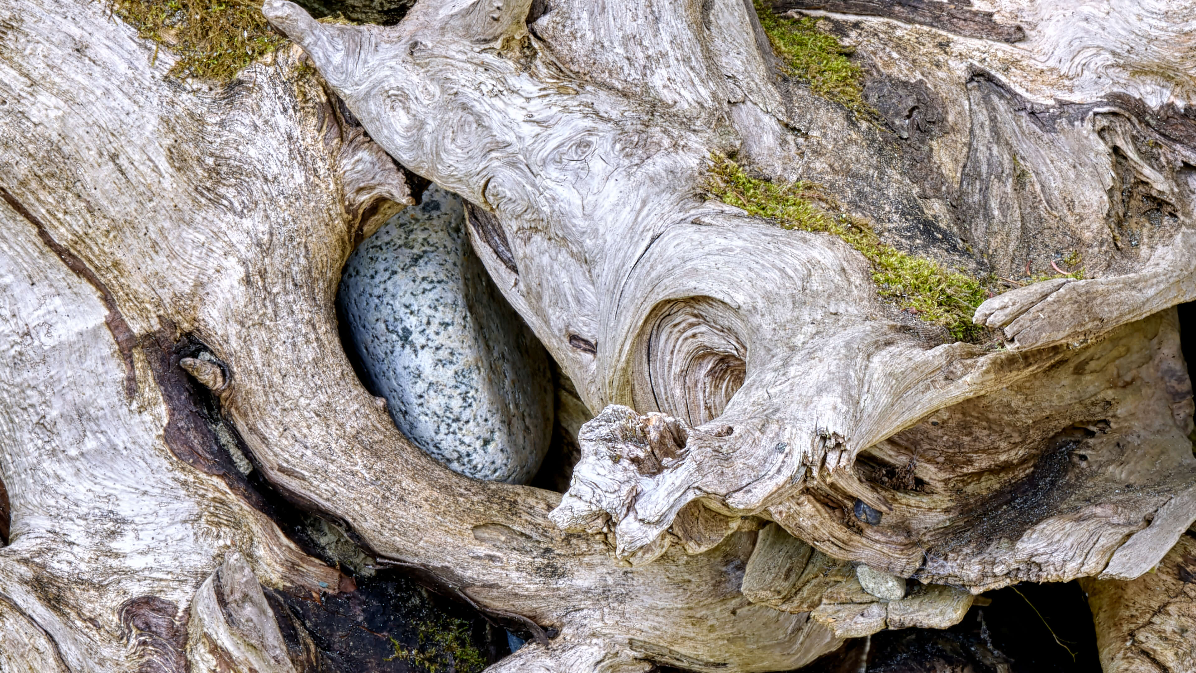 Detailed Image Detailed Image