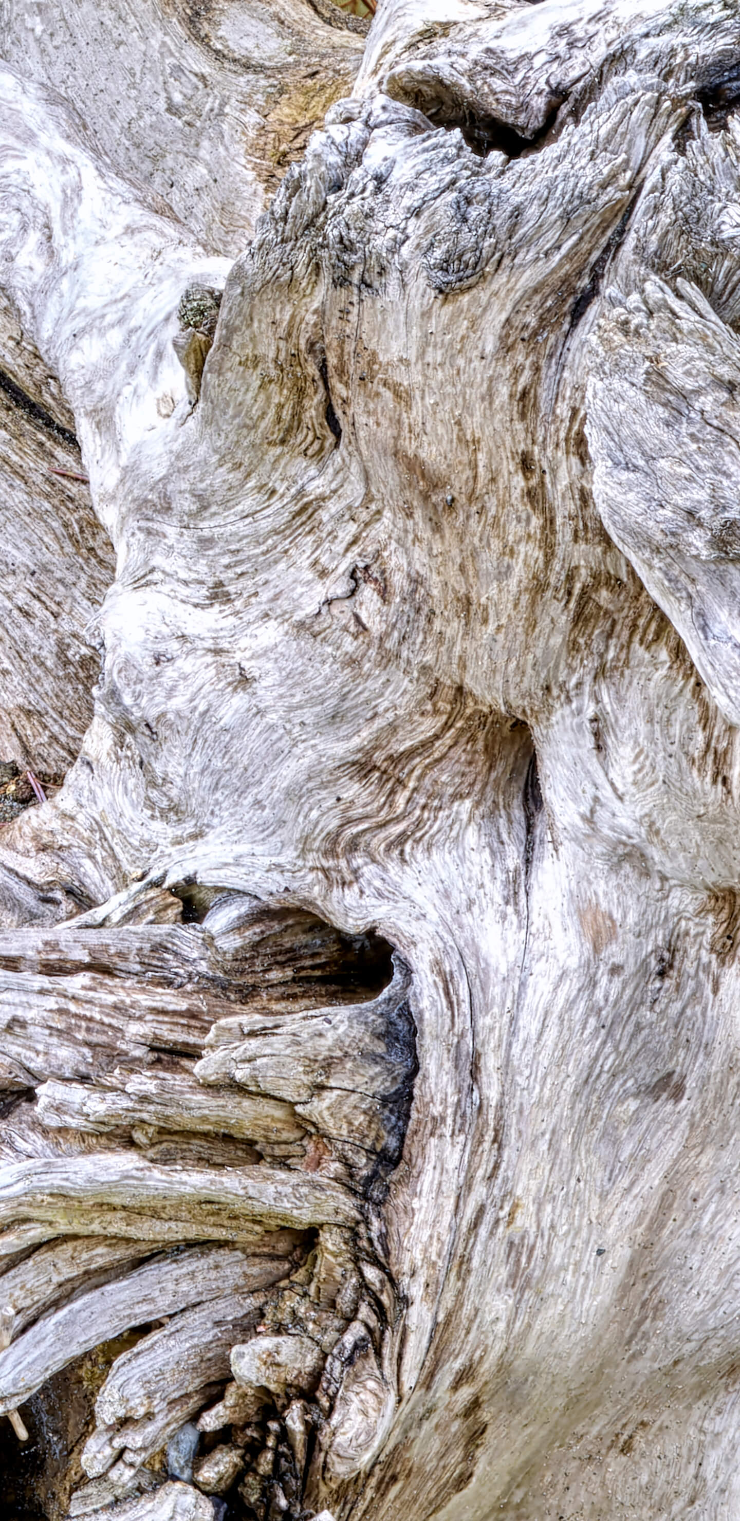 Detailed Image 2 Detailed Image 2