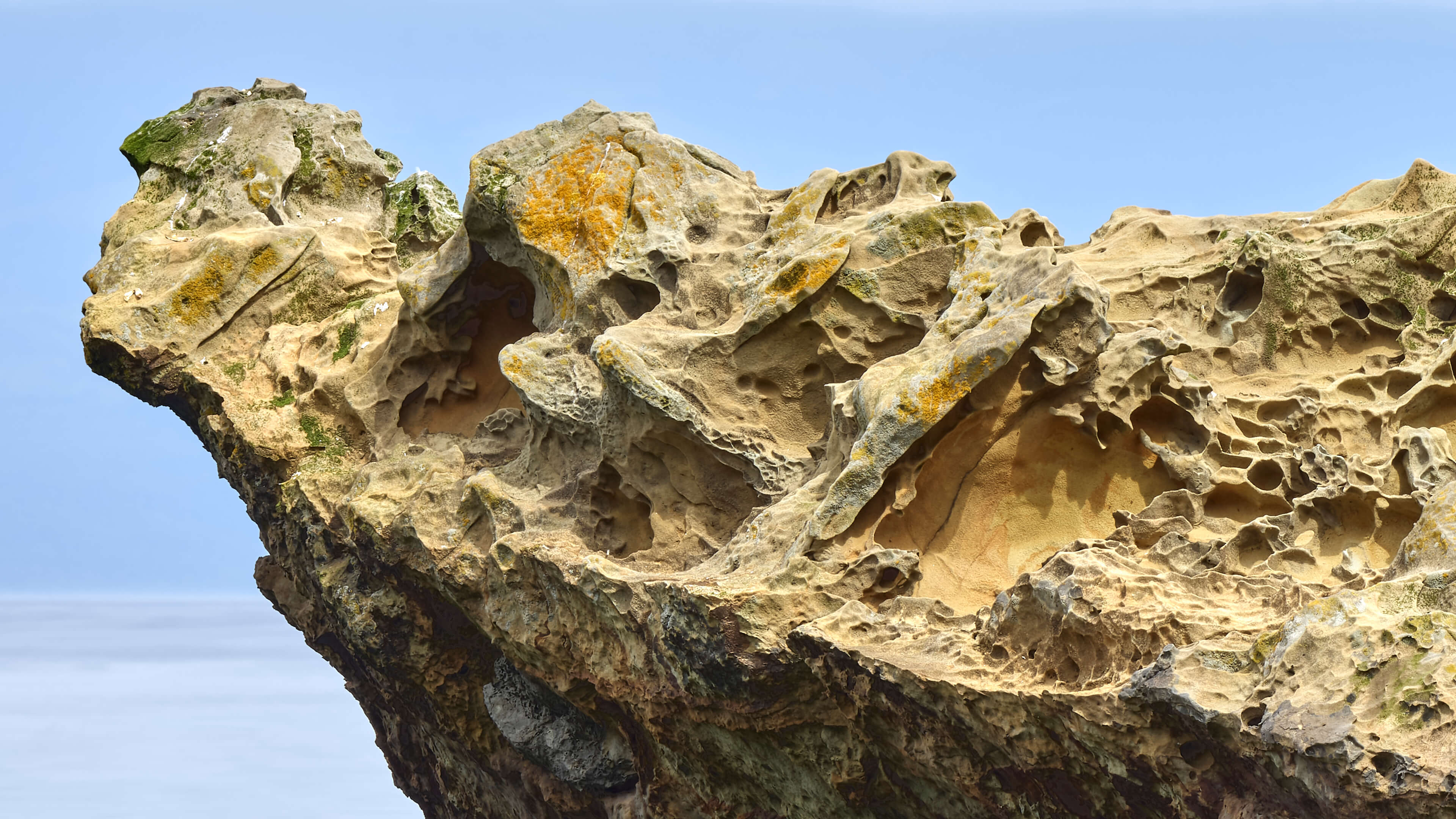 Detailed Image Detailed Image