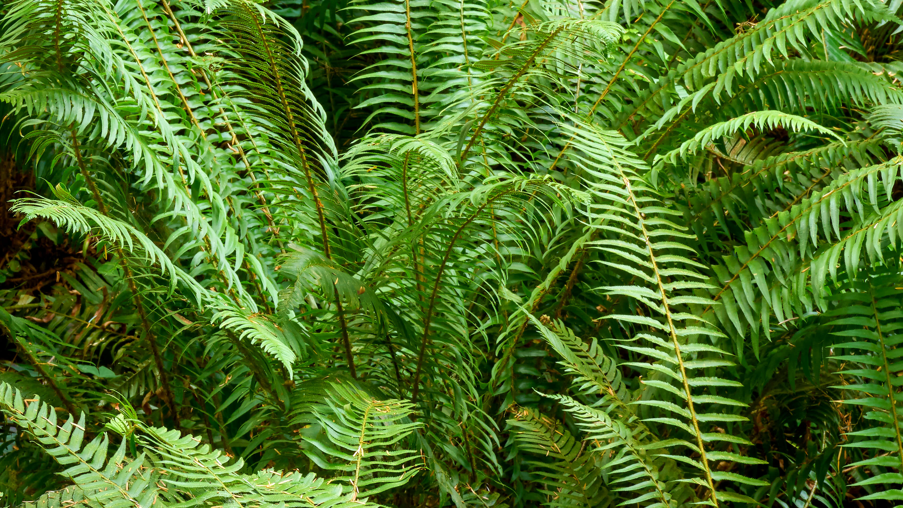 Detailed Image 2 Detailed Image 2