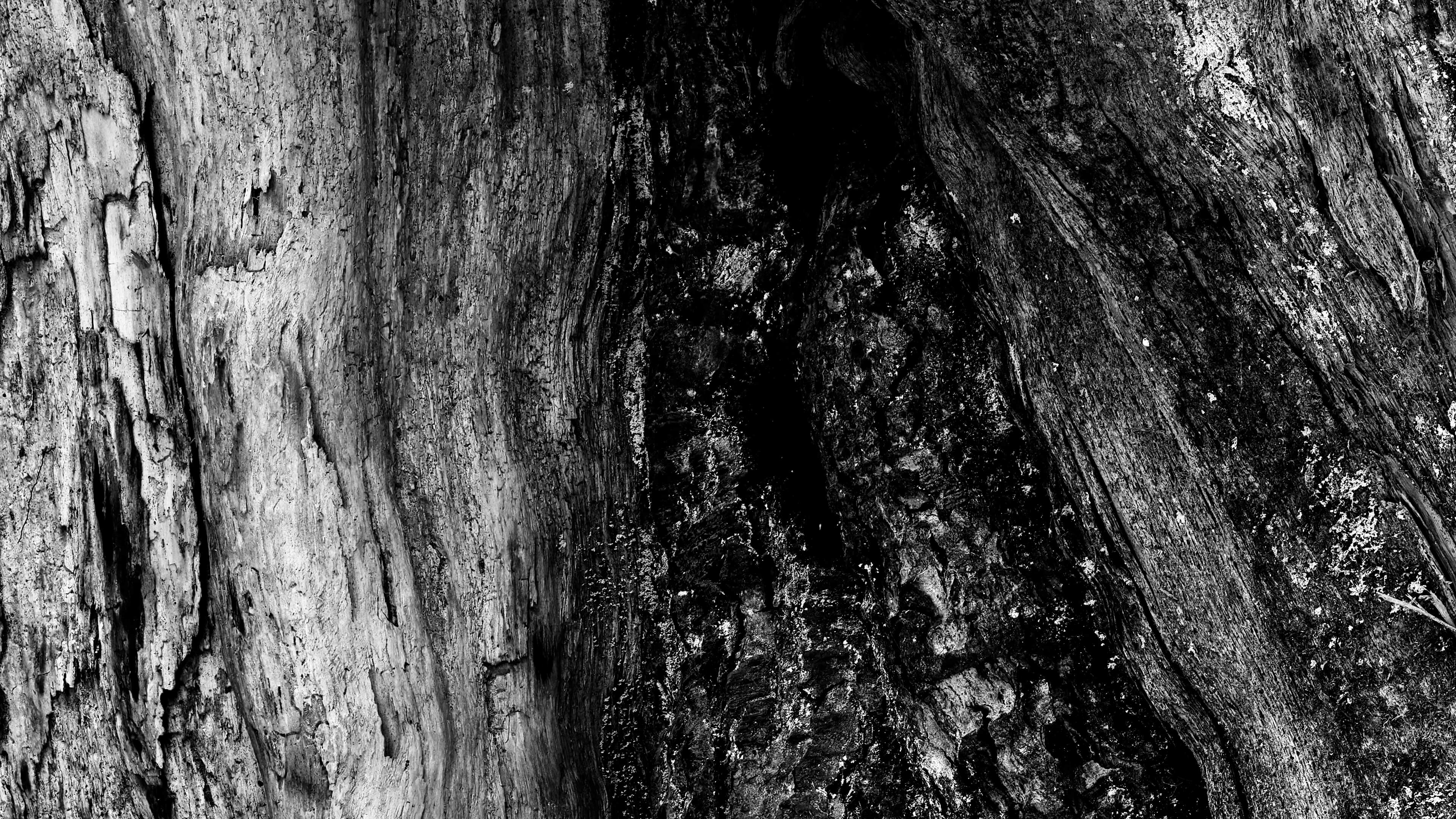 Detailed Image Detailed Image
