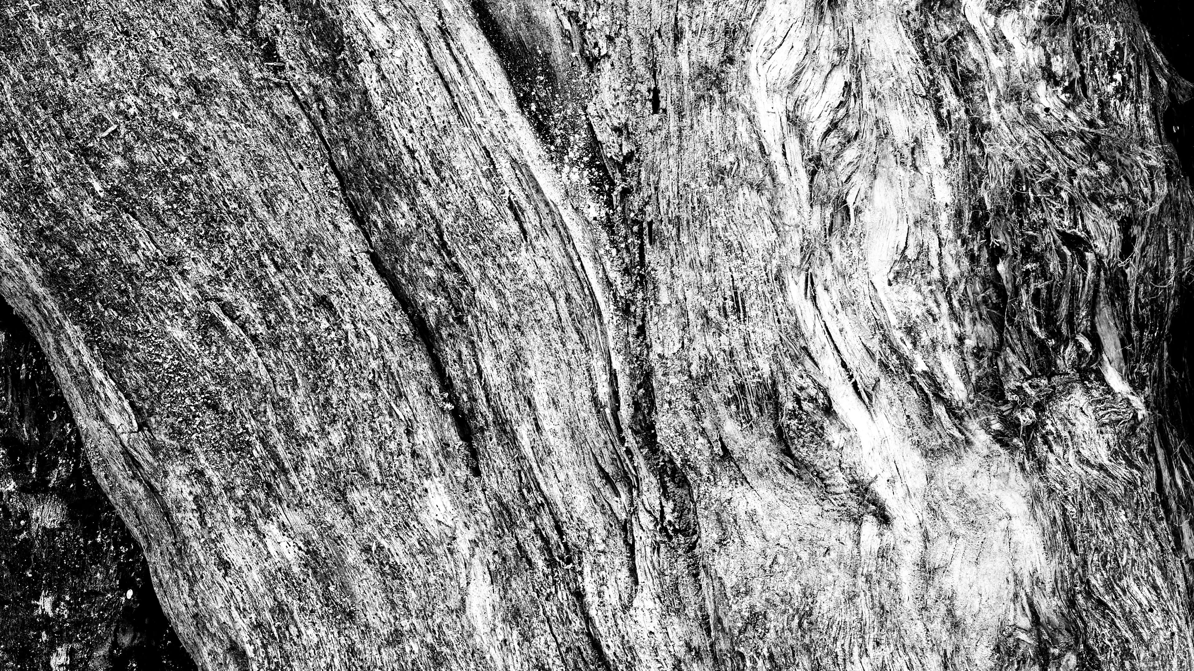 Detailed Image 2 Detailed Image 2