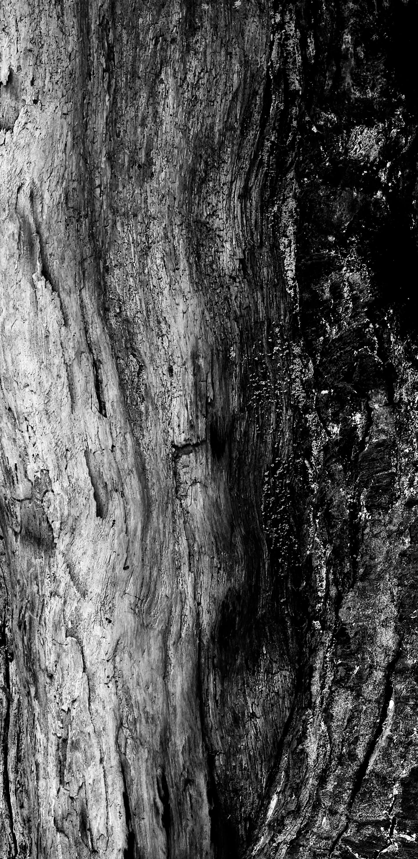 Detailed Image 1 Detailed Image 1