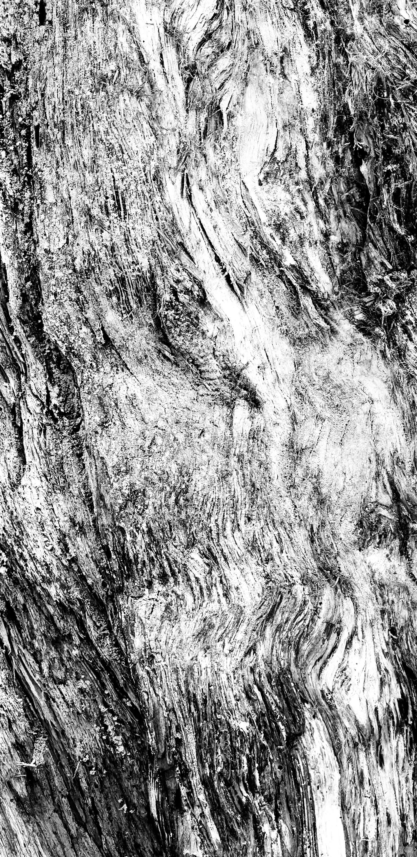 Detailed Image 2 Detailed Image 2