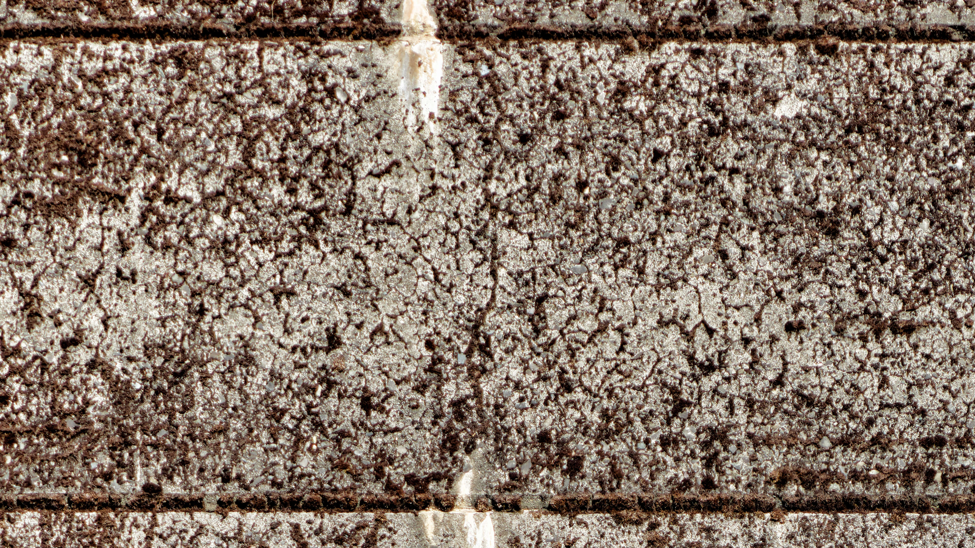 Detailed Image Detailed Image