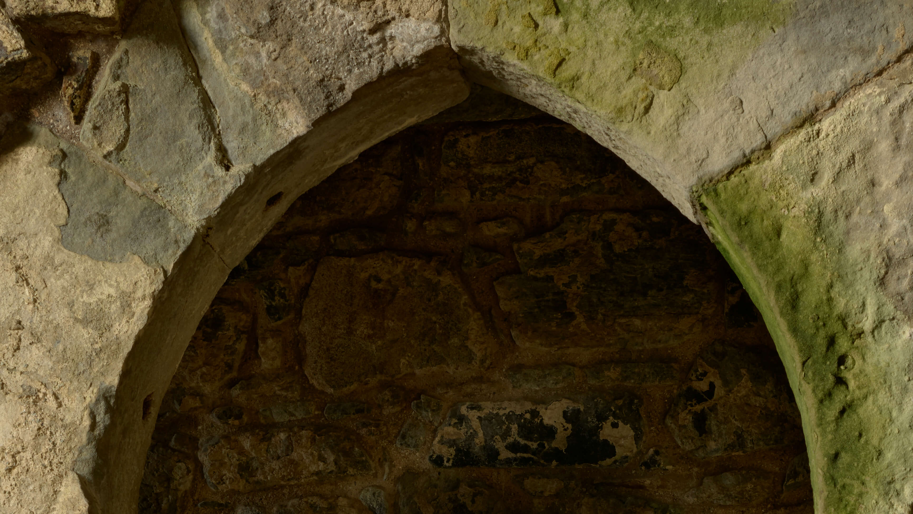 Detailed Image Detailed Image