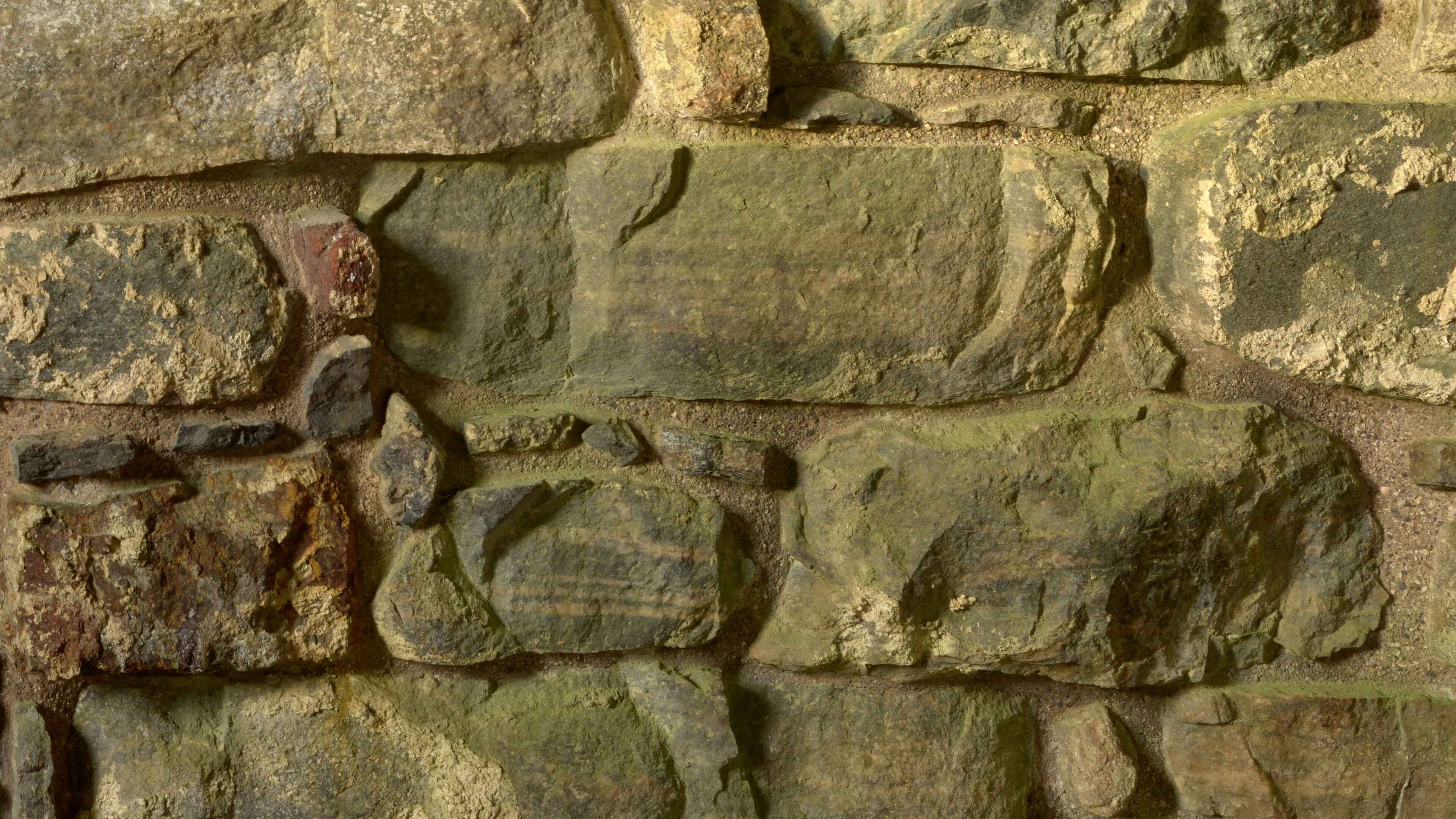 Detailed Image 2 Detailed Image 2