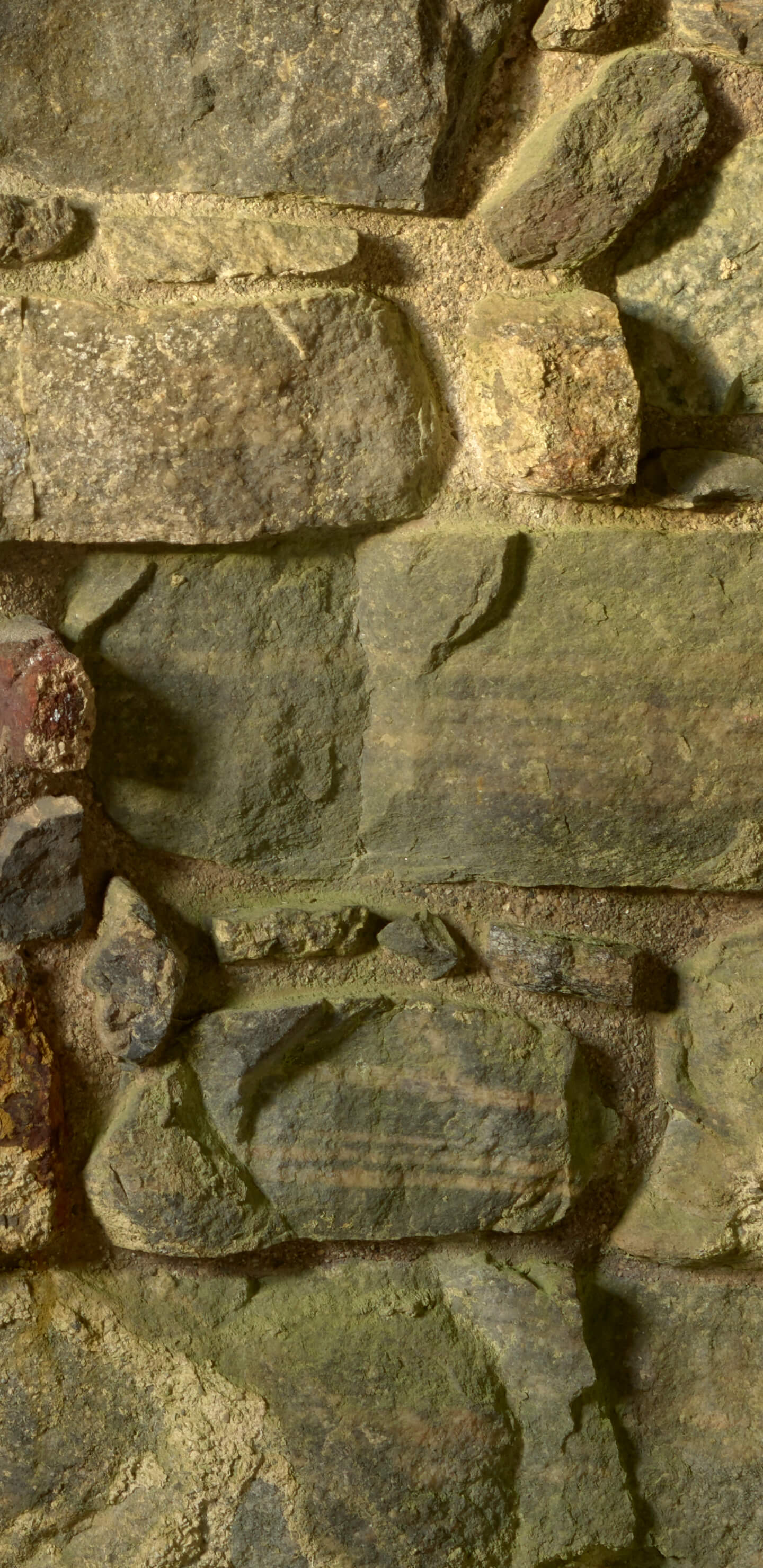 Detailed Image 2 Detailed Image 2
