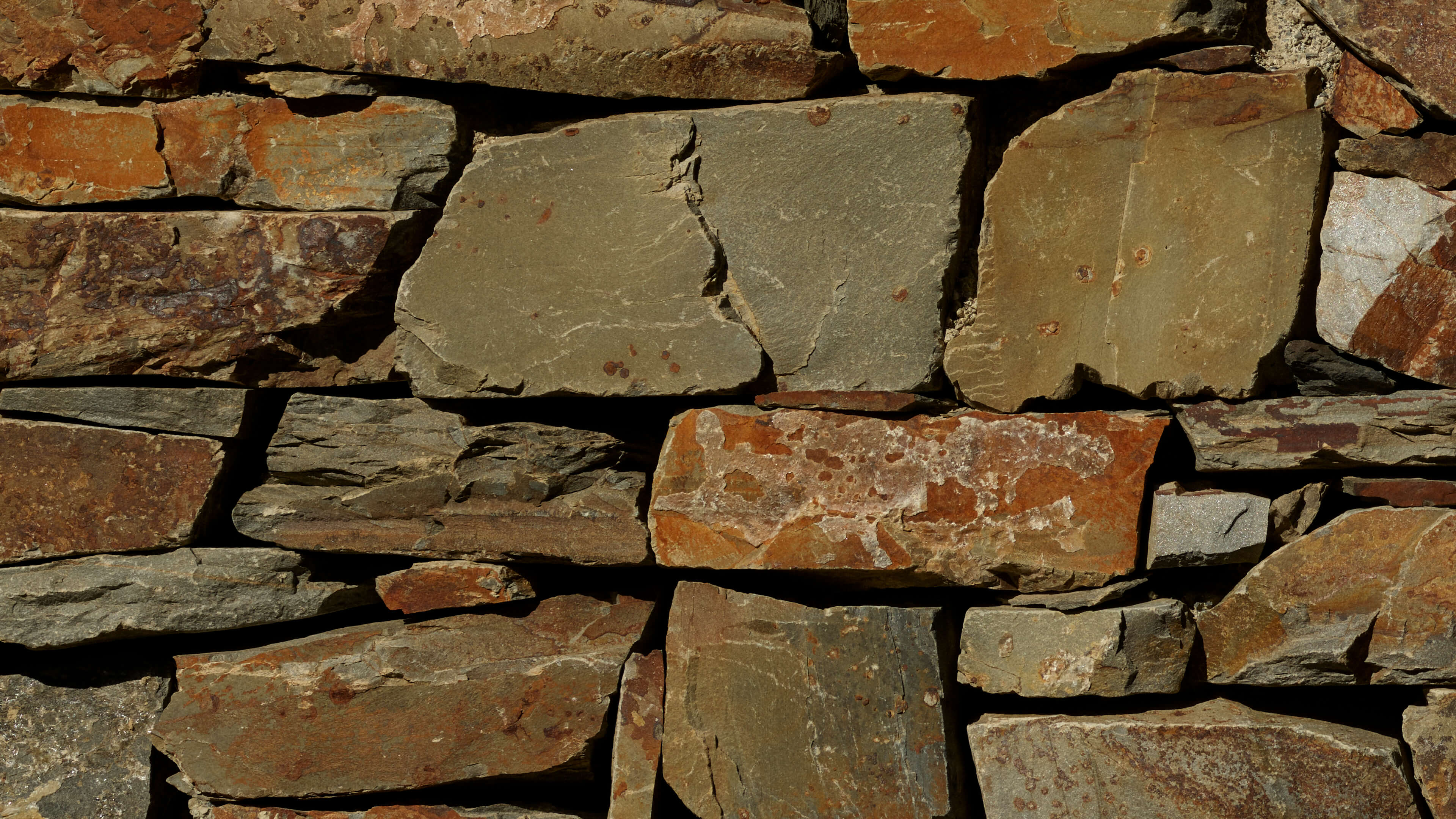 Detailed Image Detailed Image