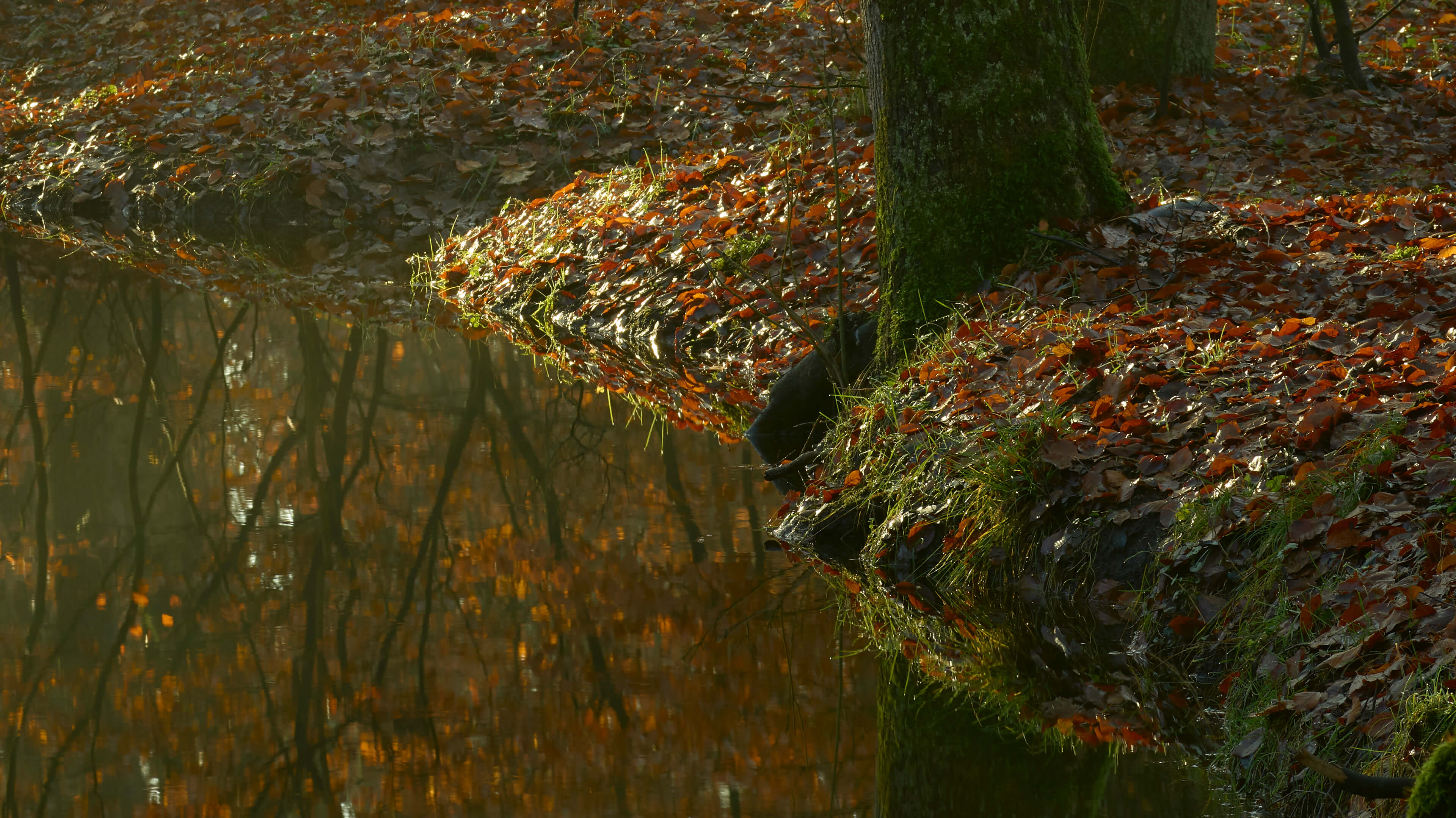 Detailed Image Detailed Image