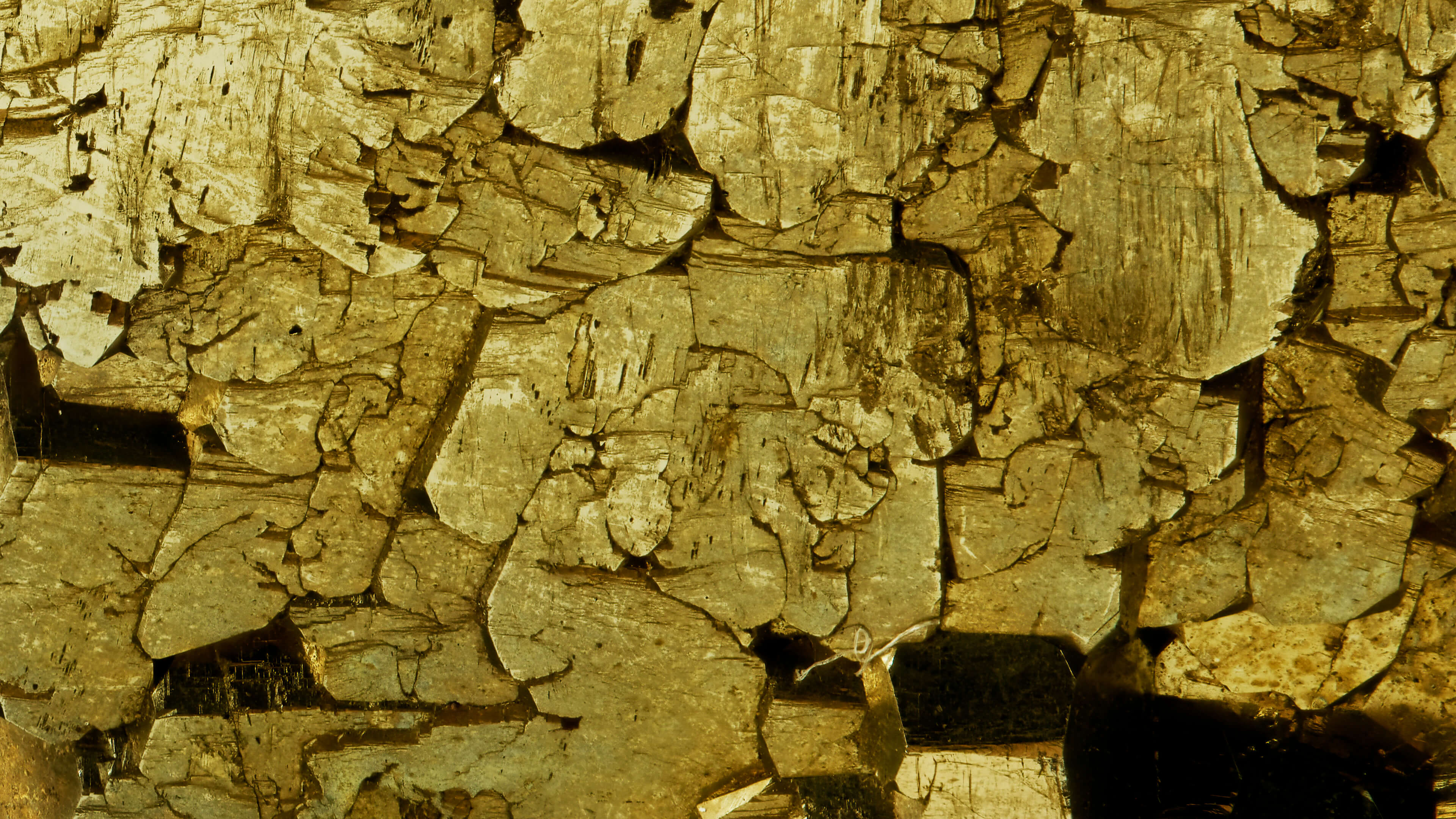Detailed Image Detailed Image