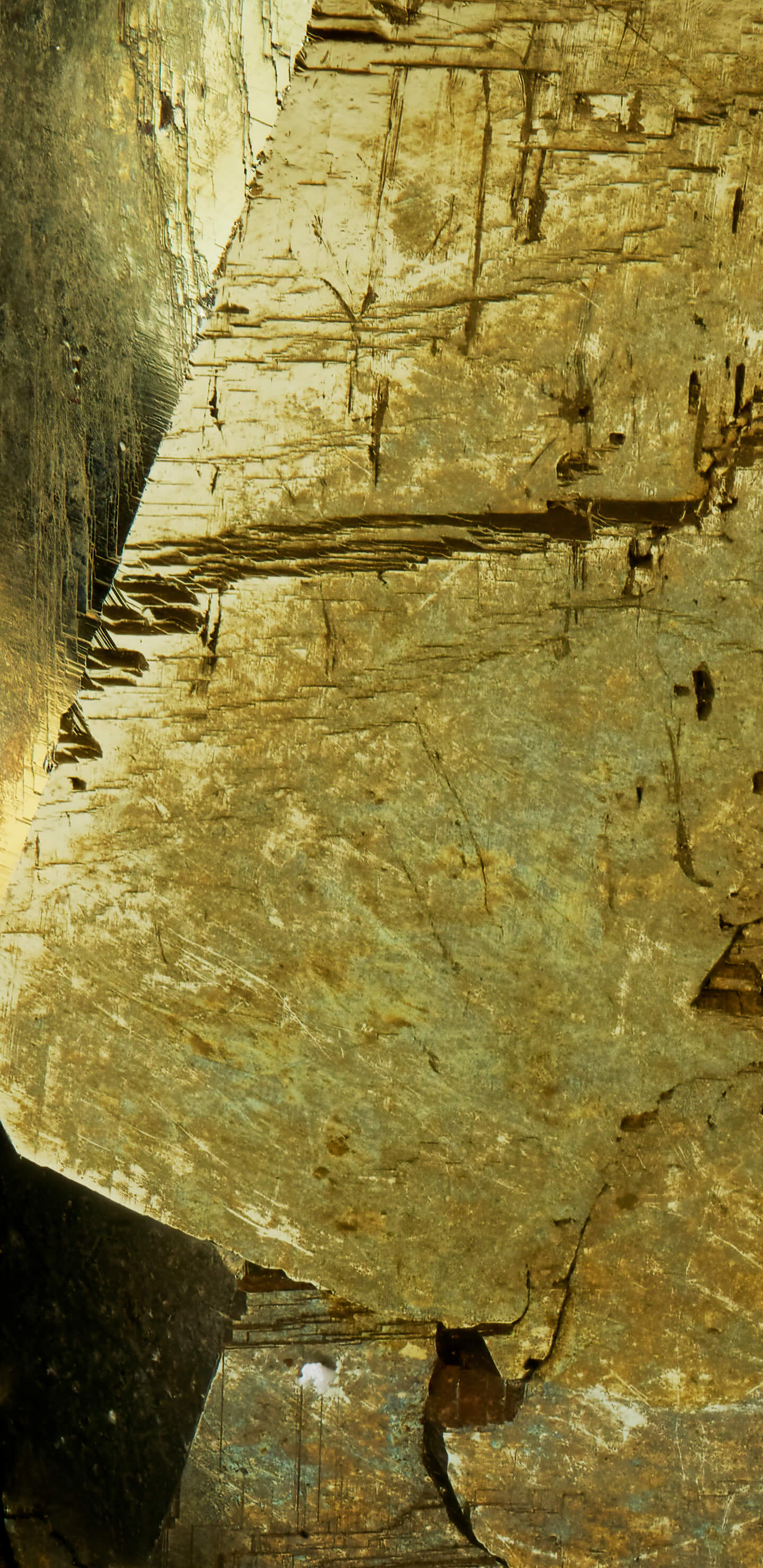 Detailed Image 1 Detailed Image 1
